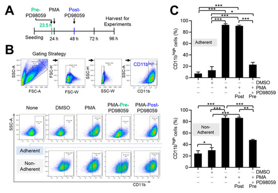 THP-1 Monocytic Cells Are Polarized to More Antitumorigenic