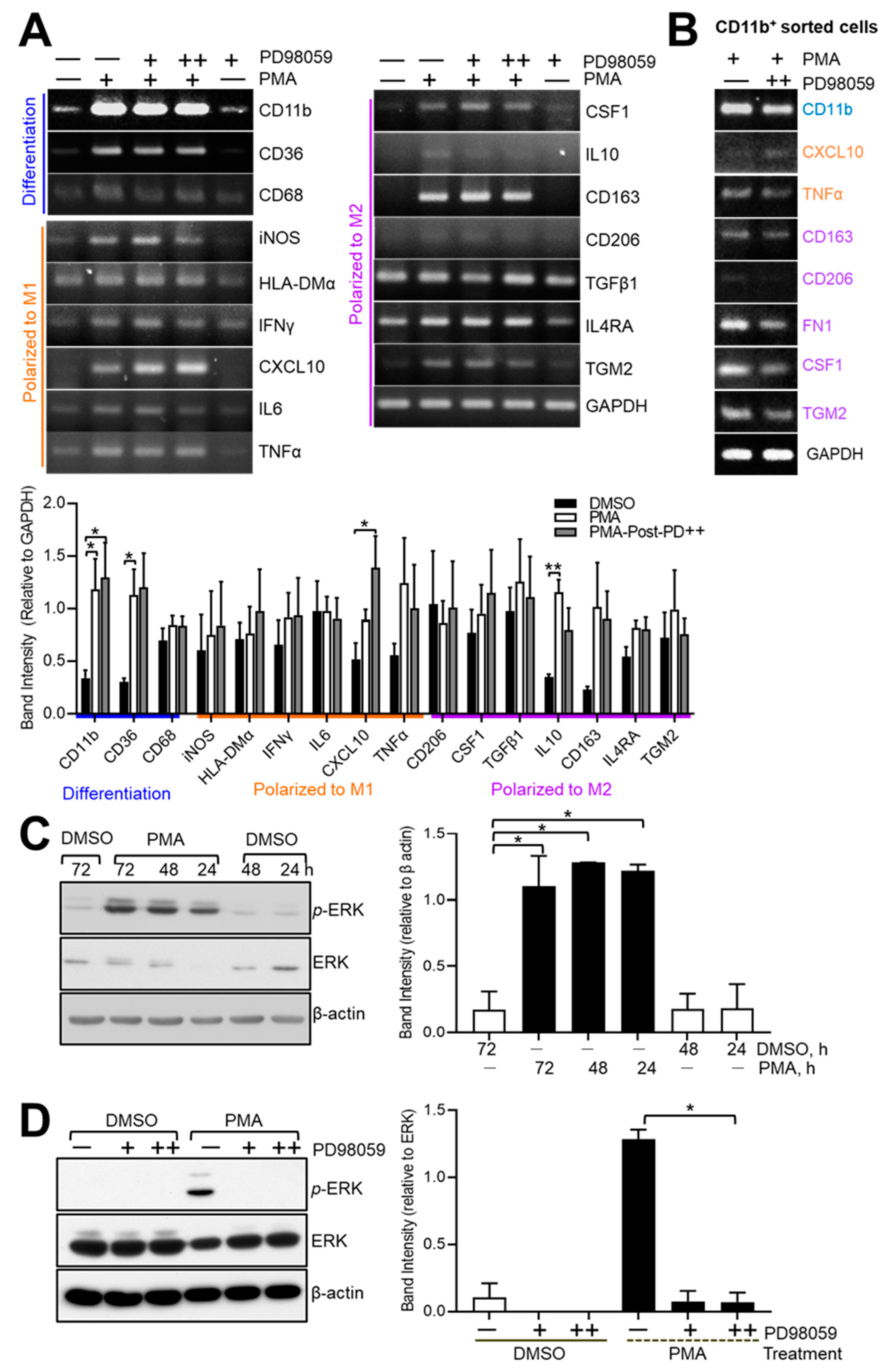 Medicina 60 01009 g003