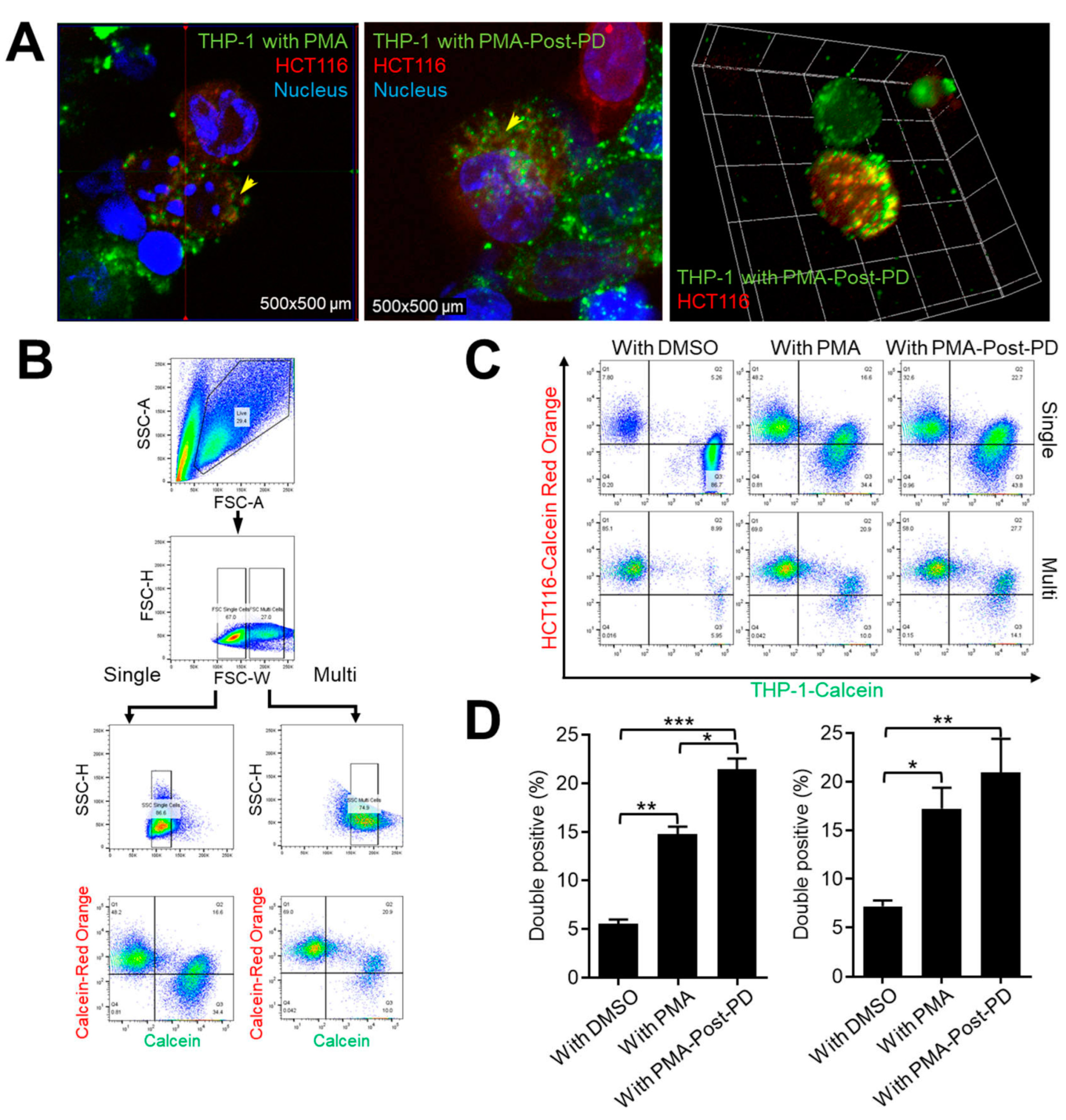 Medicina 60 01009 g005