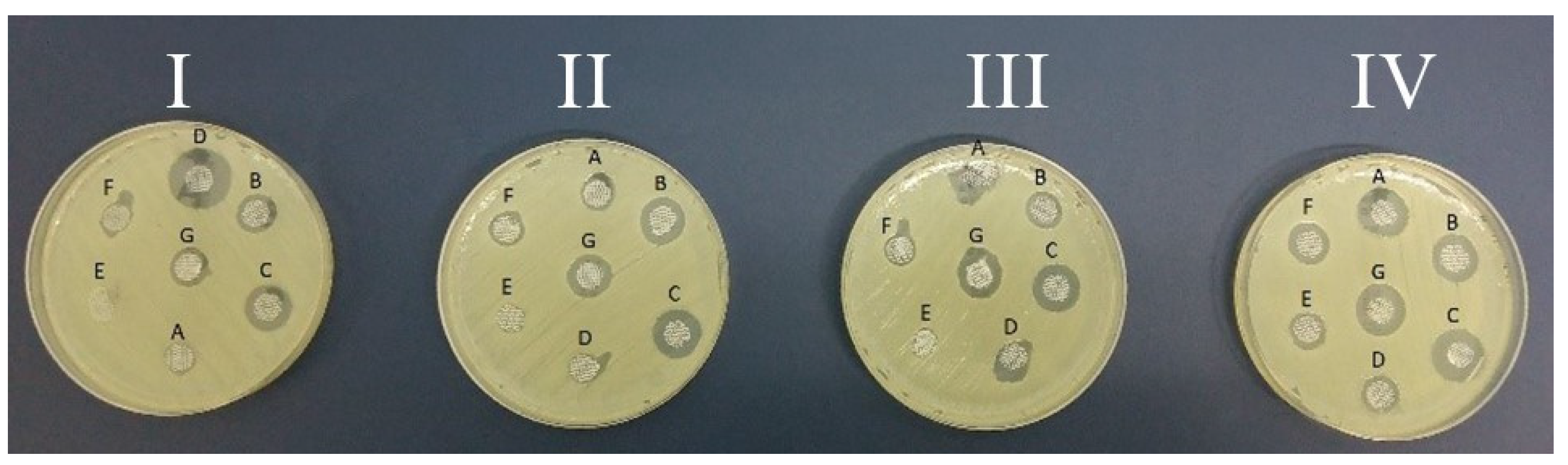 Medicina 60 01015 g002