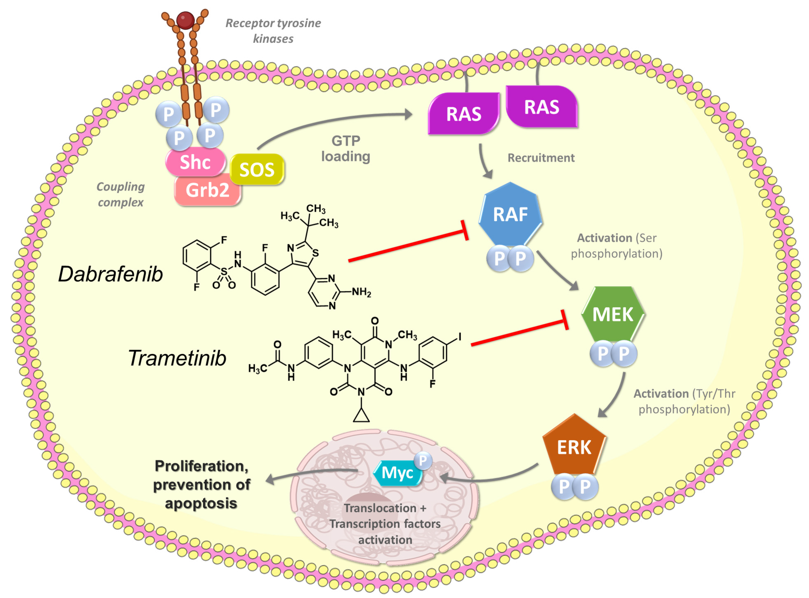 Medicina 60 01037 g006