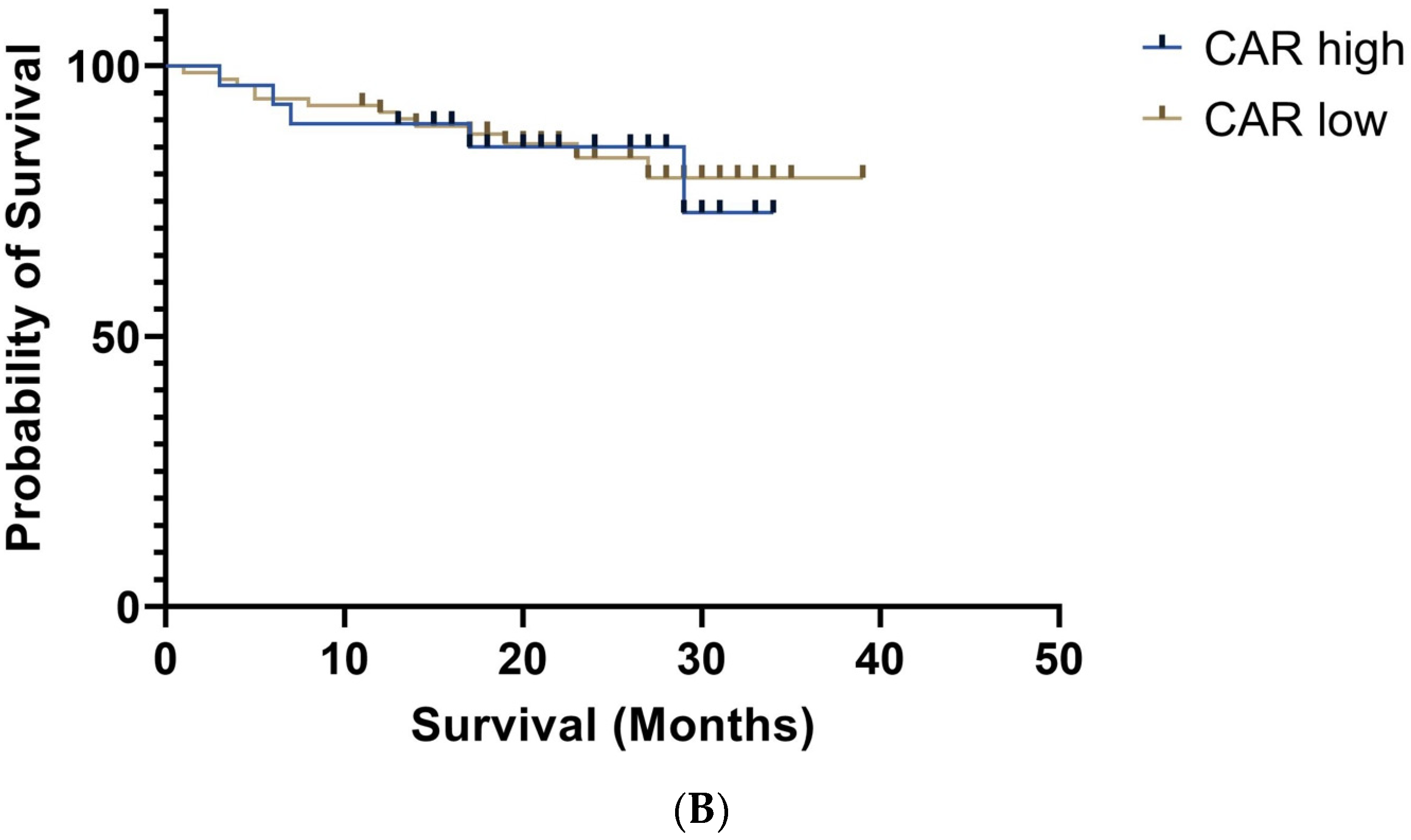 Medicina 60 01054 g002b