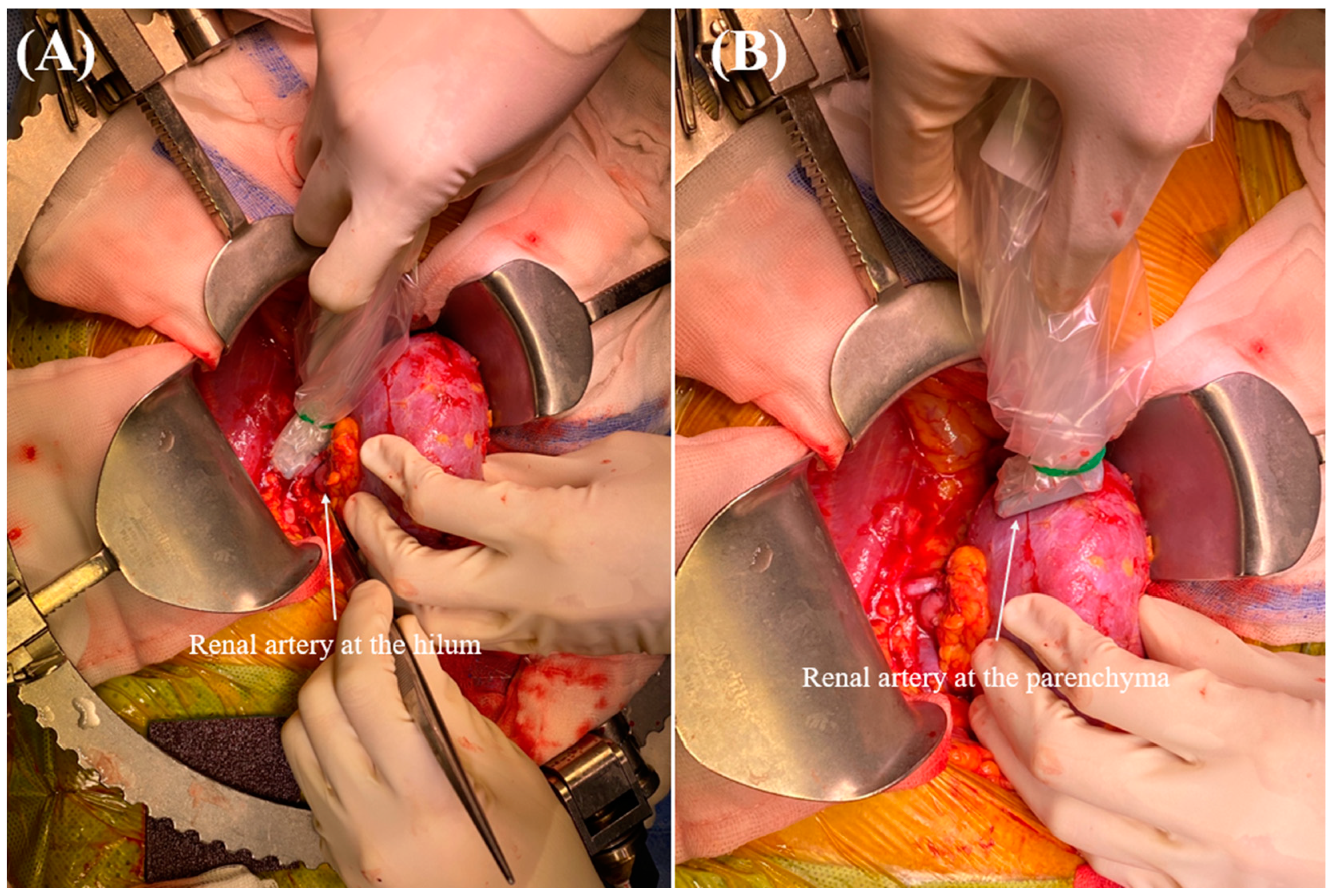 Medicina 60 01066 g002