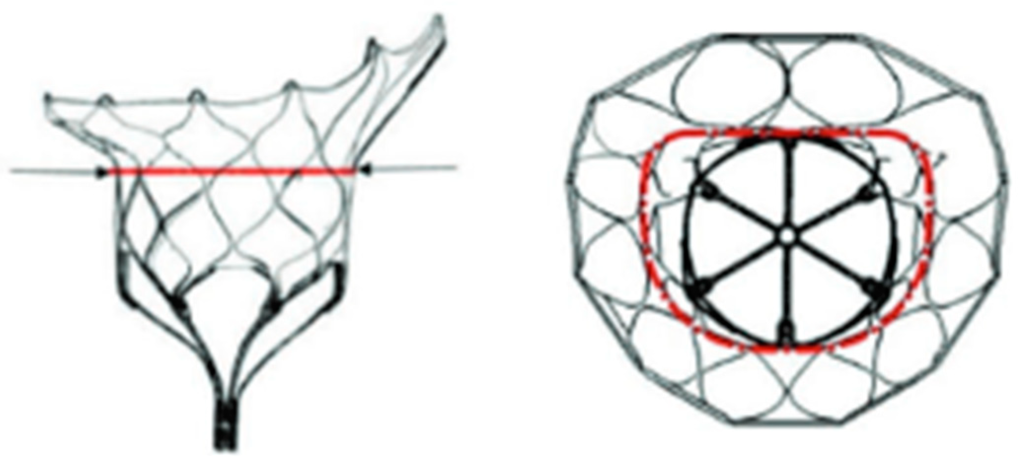 Medicina 60 01082 g004