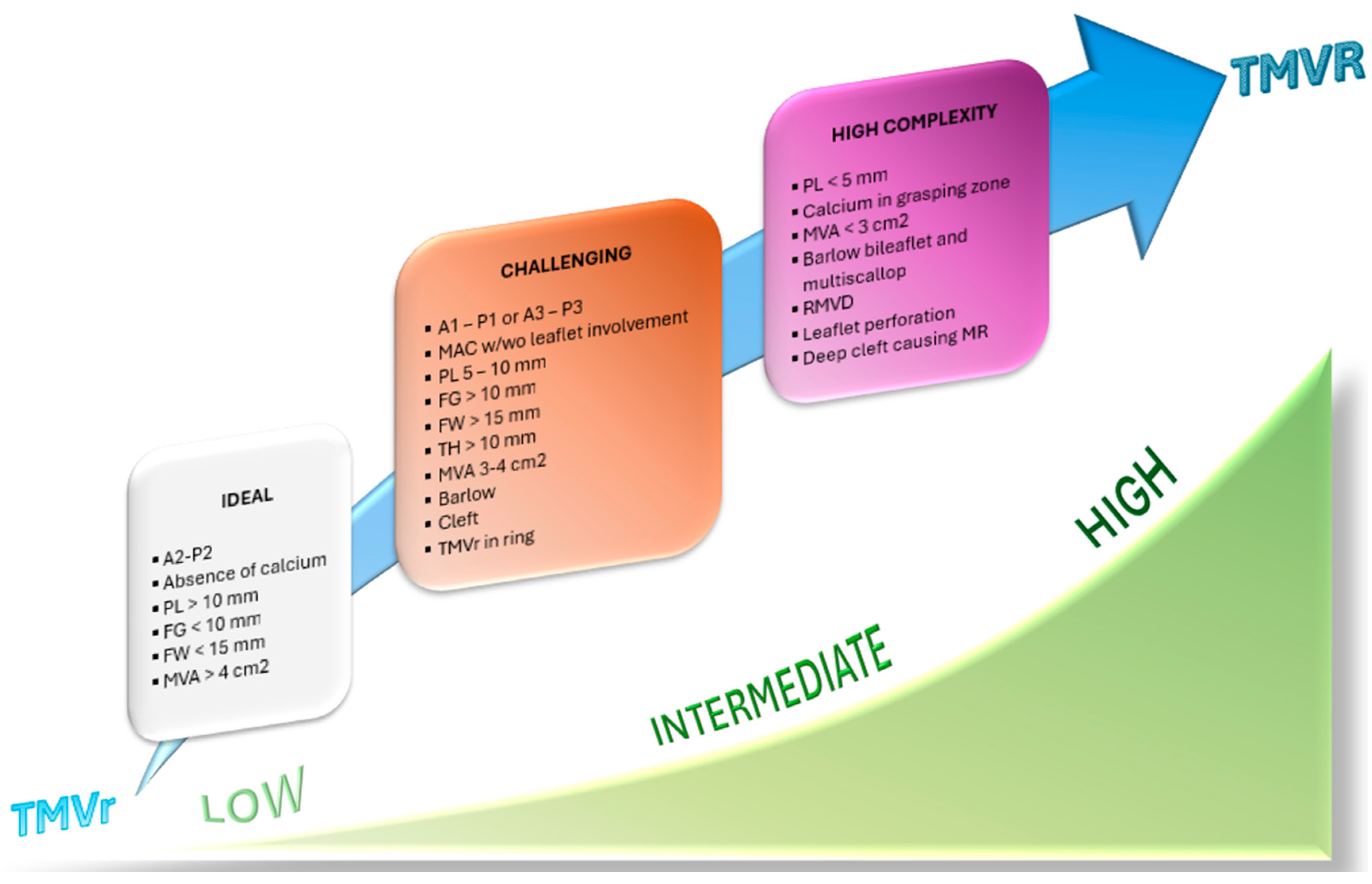 Medicina 60 01082 g006