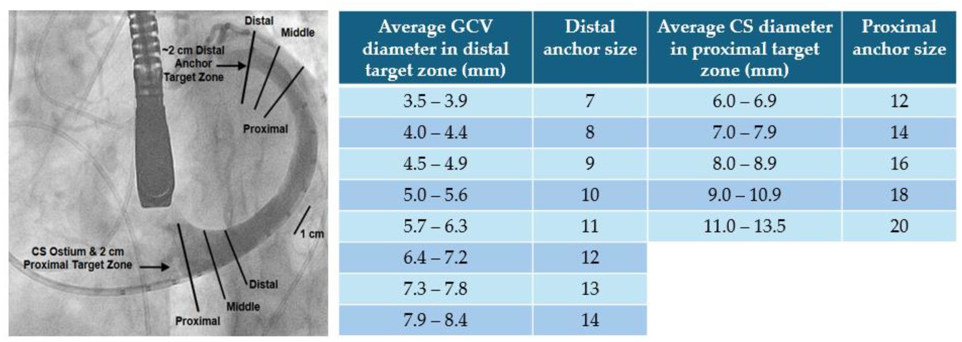 Medicina 60 01082 g011