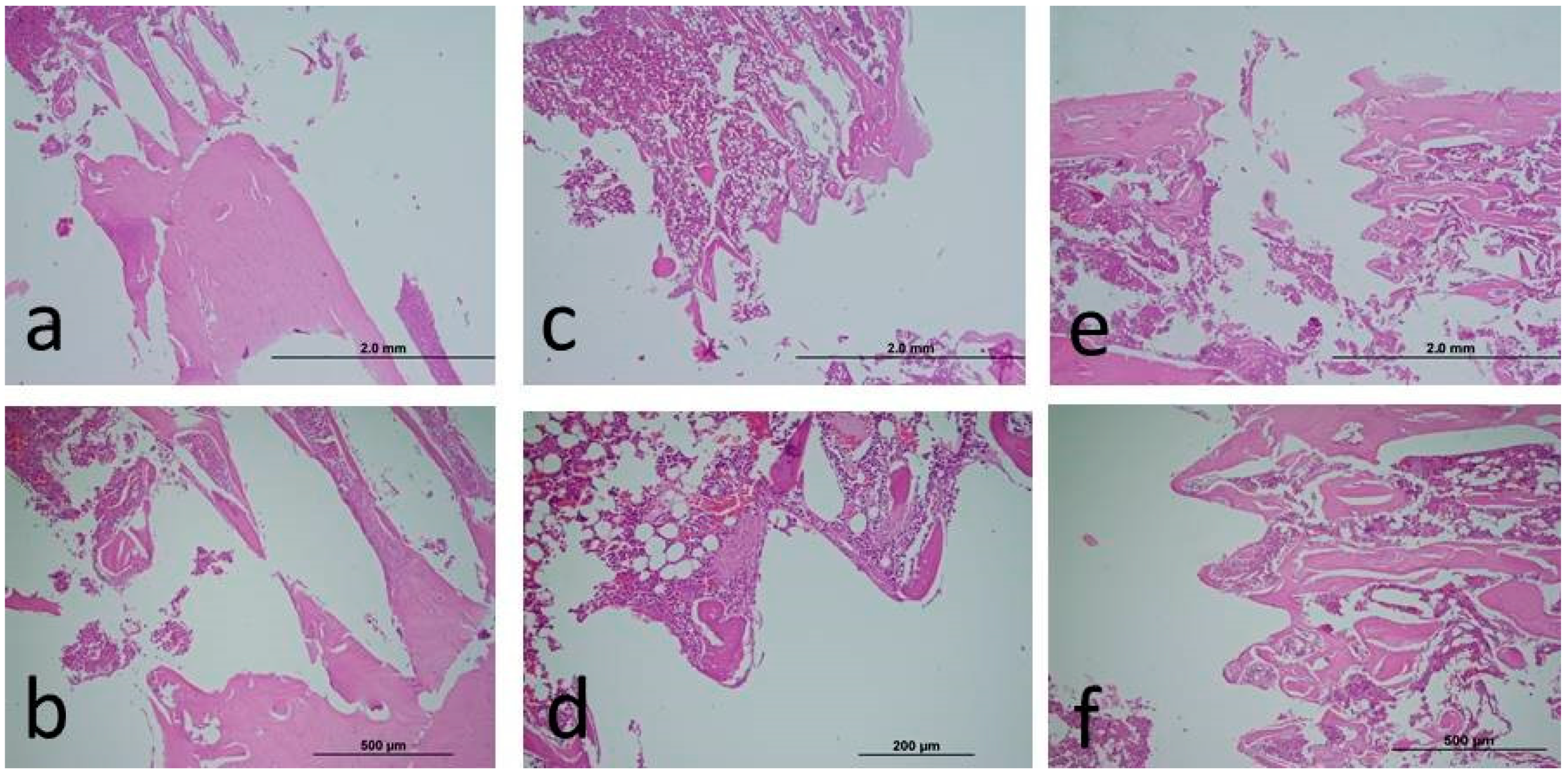 Medicina 60 01094 g001 Medicina 60 01094 g001