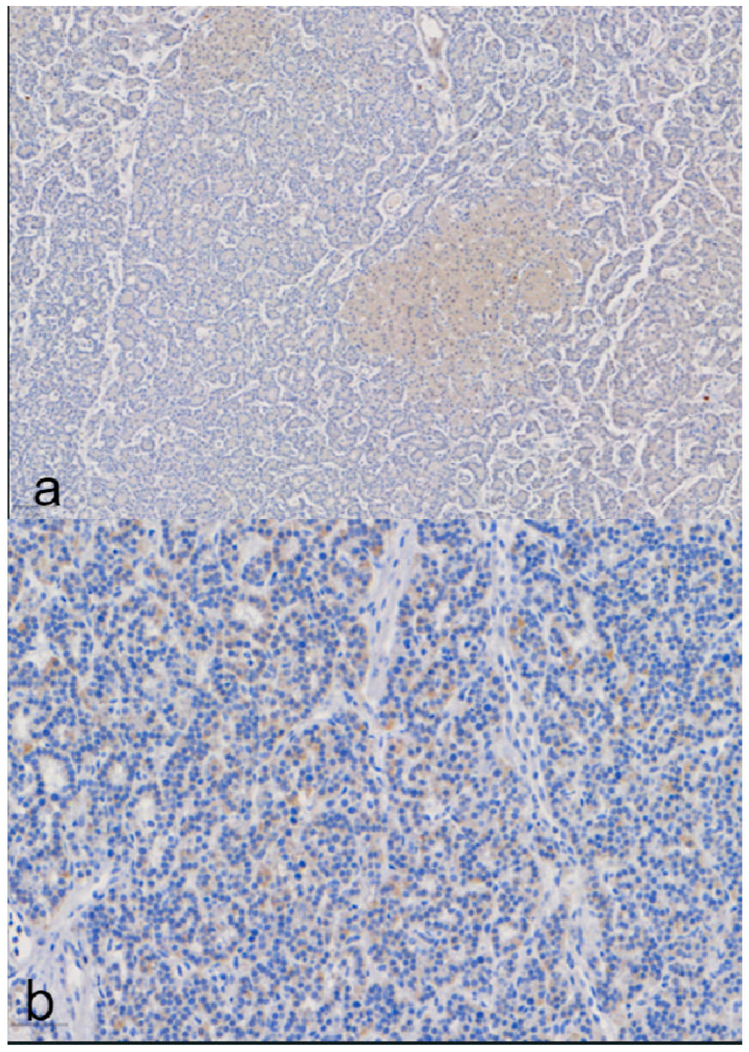 Medicina 60 01100 g003