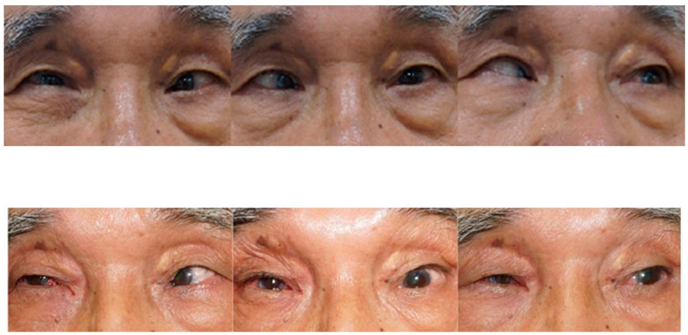 Medicina 60 01104 g002