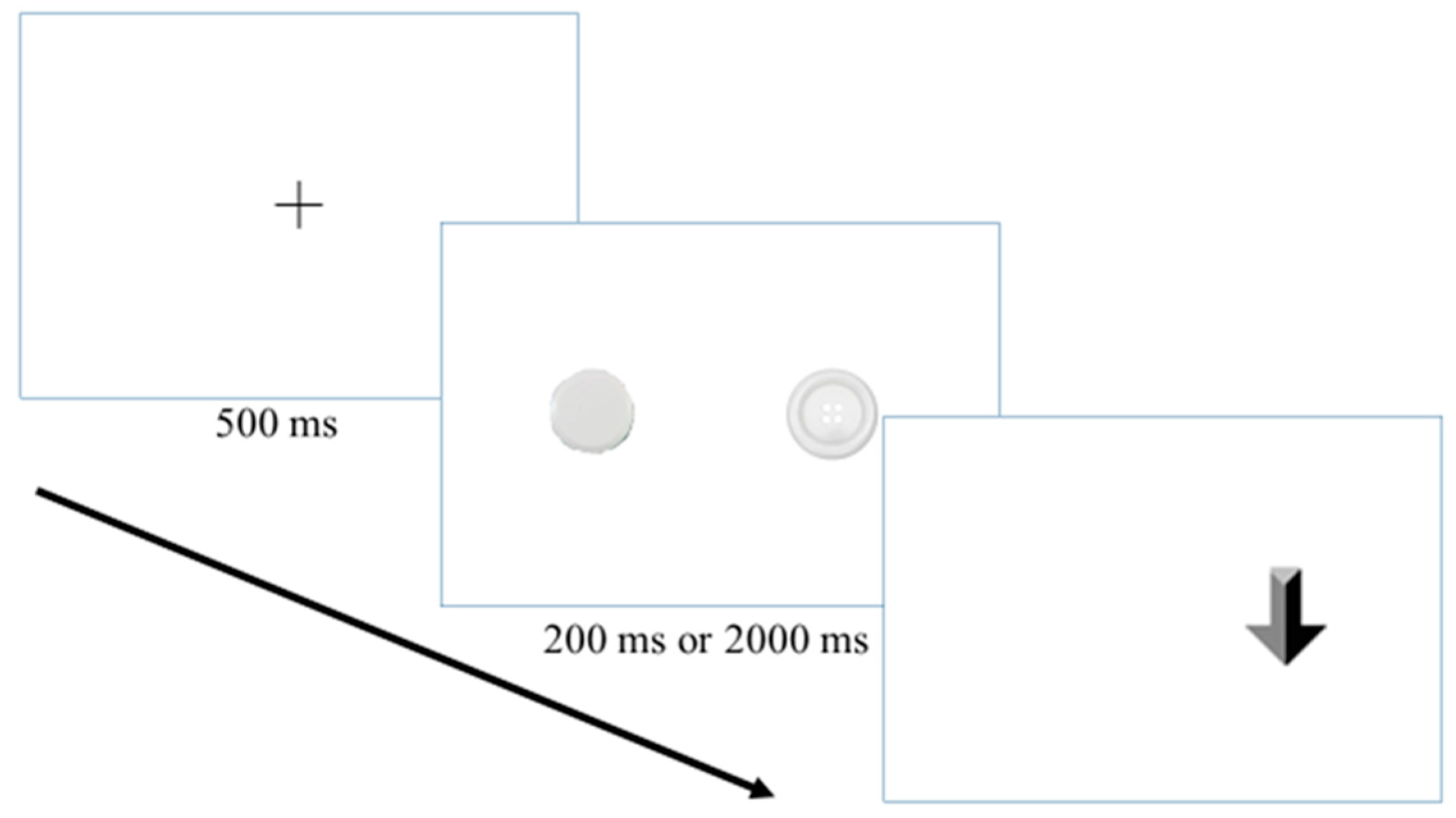 Medicina 60 01107 g001