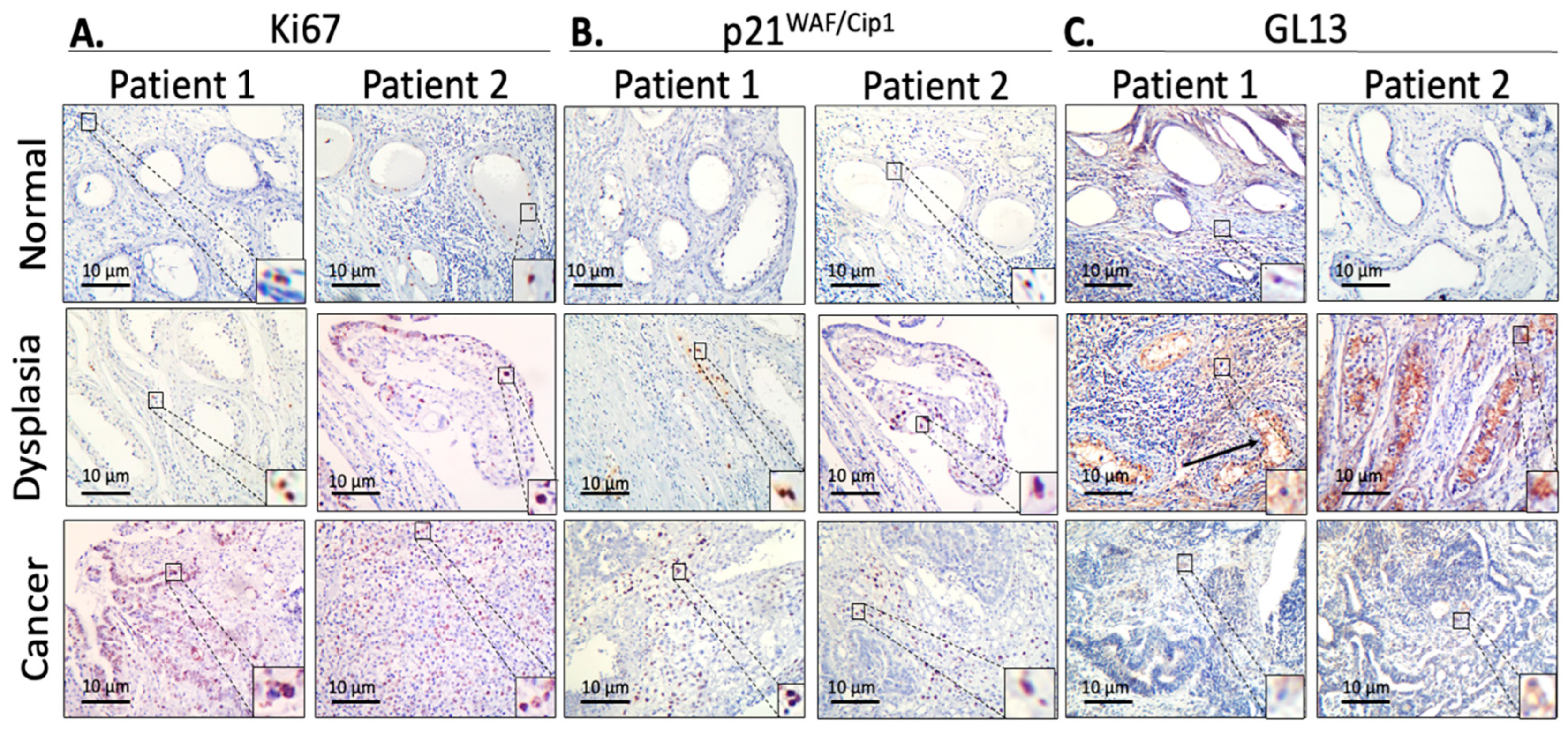 Medicina 60 01108 g001