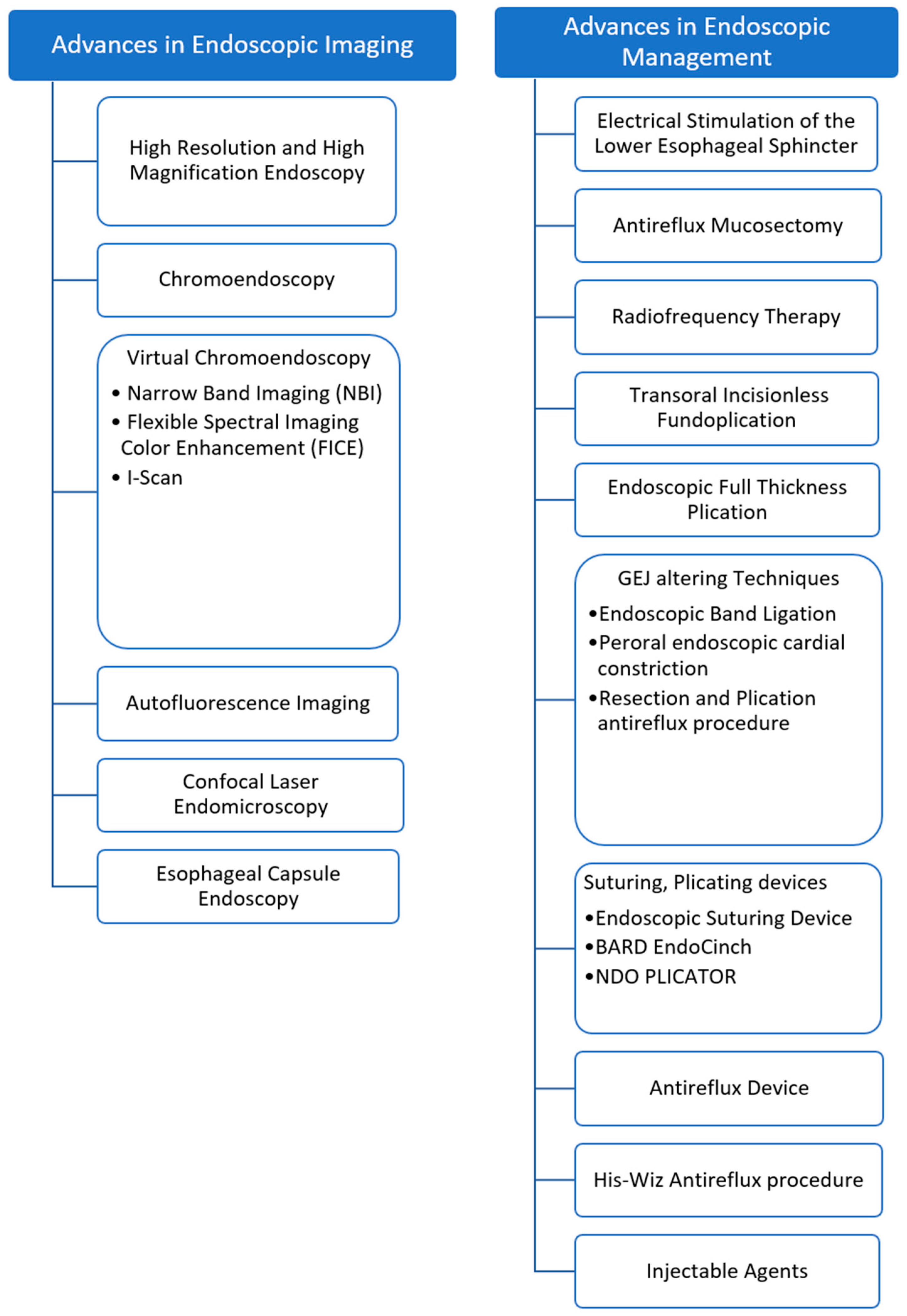 Medicina 60 01120 g001