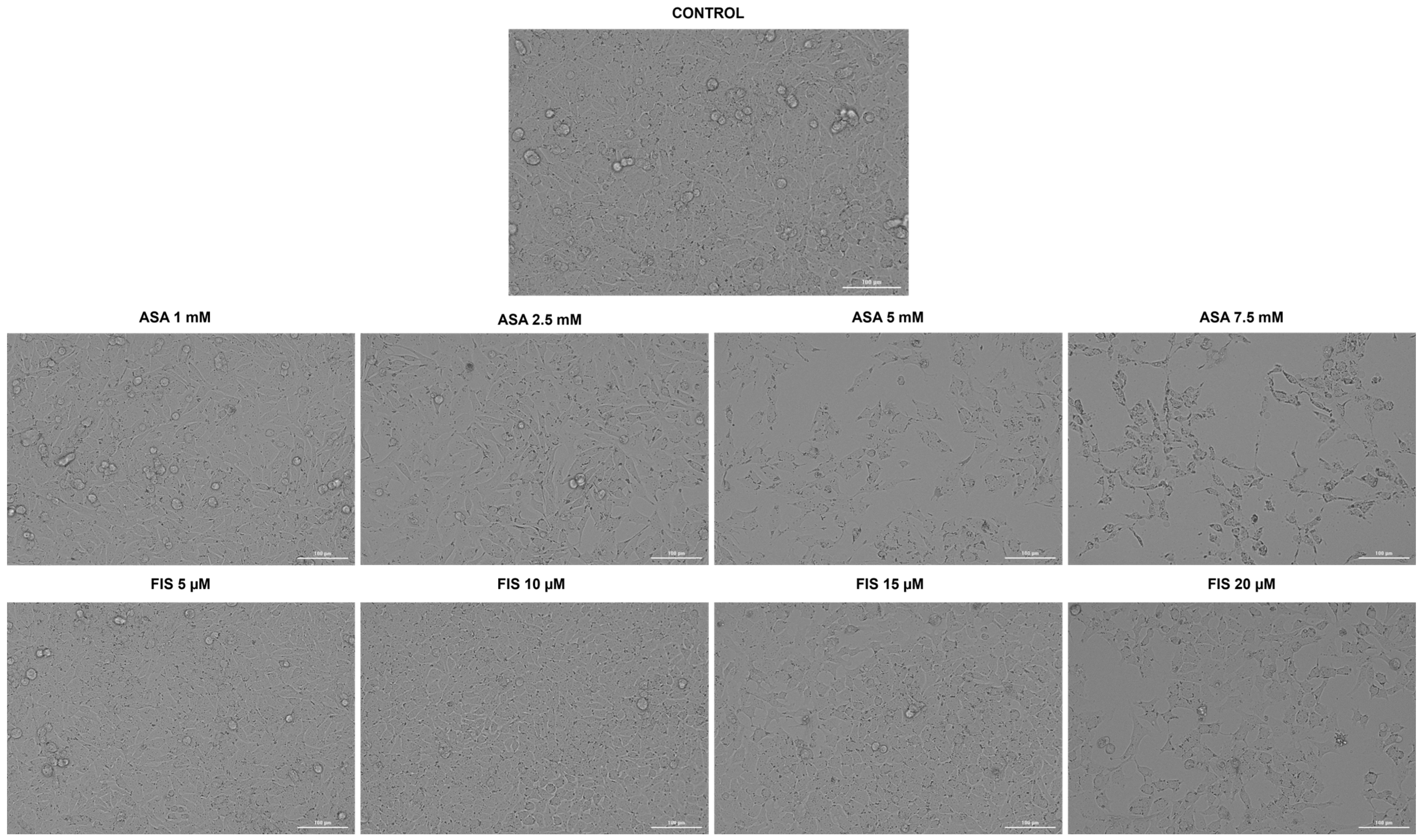 Medicina 60 01125 g003