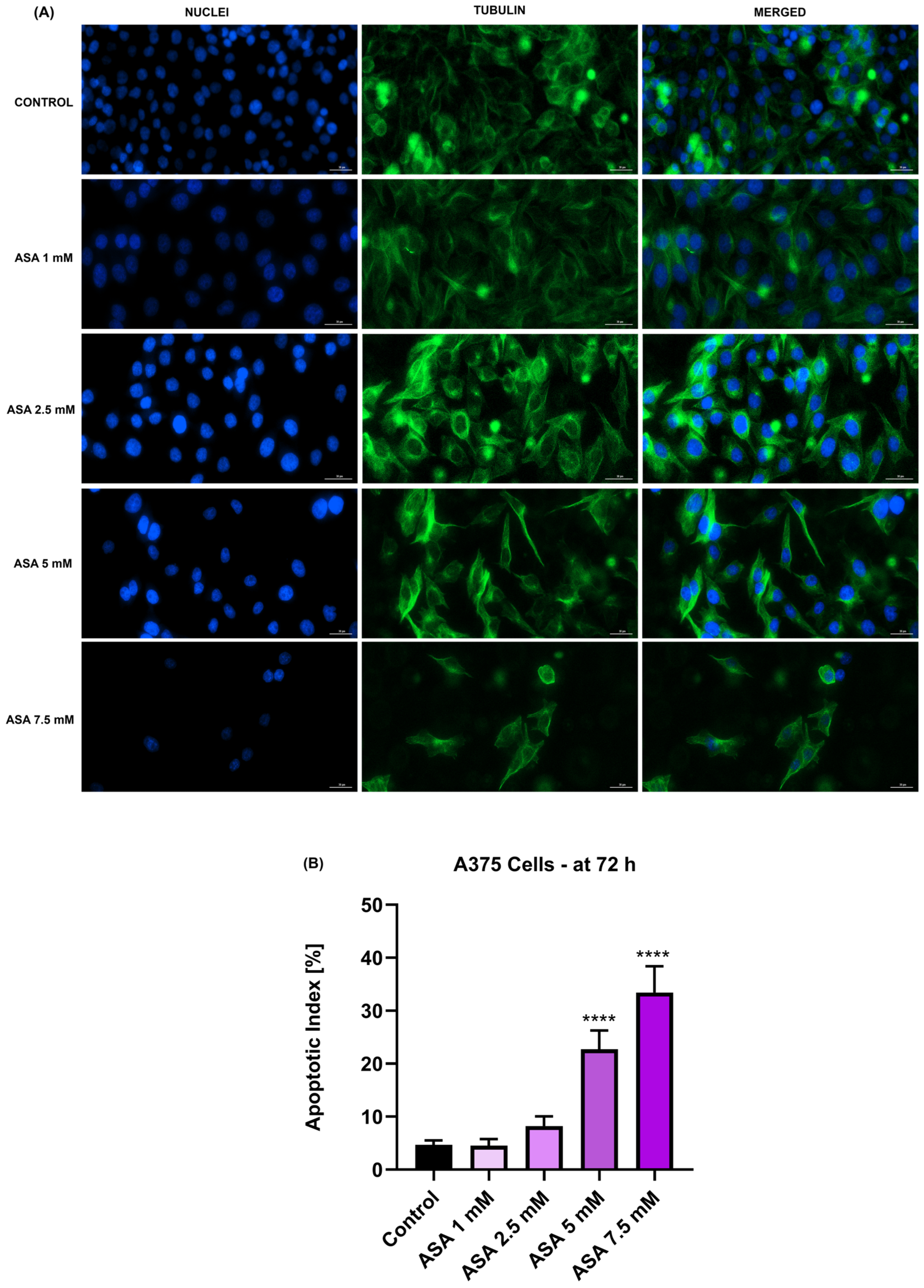 Medicina 60 01125 g005