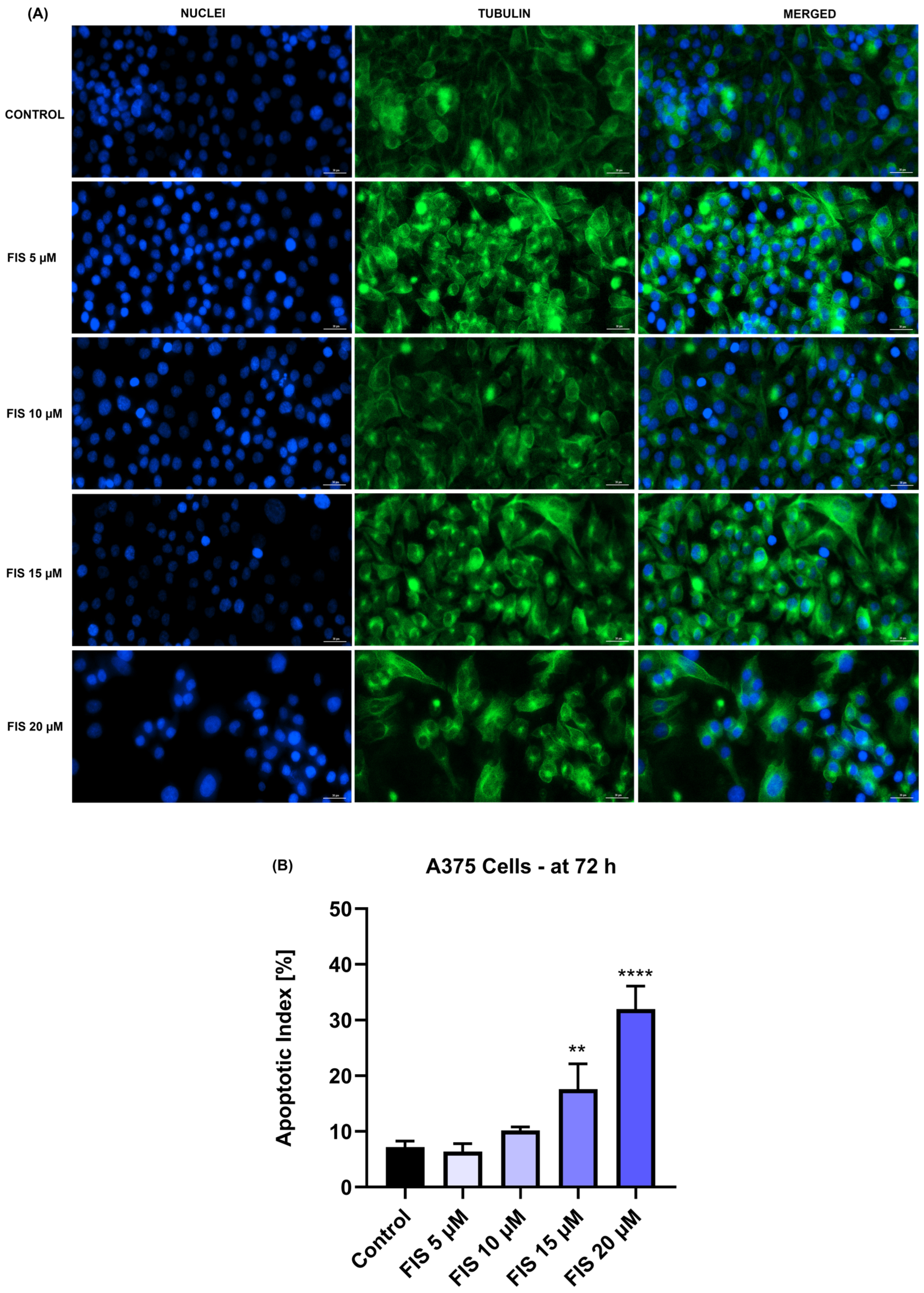 Medicina 60 01125 g006