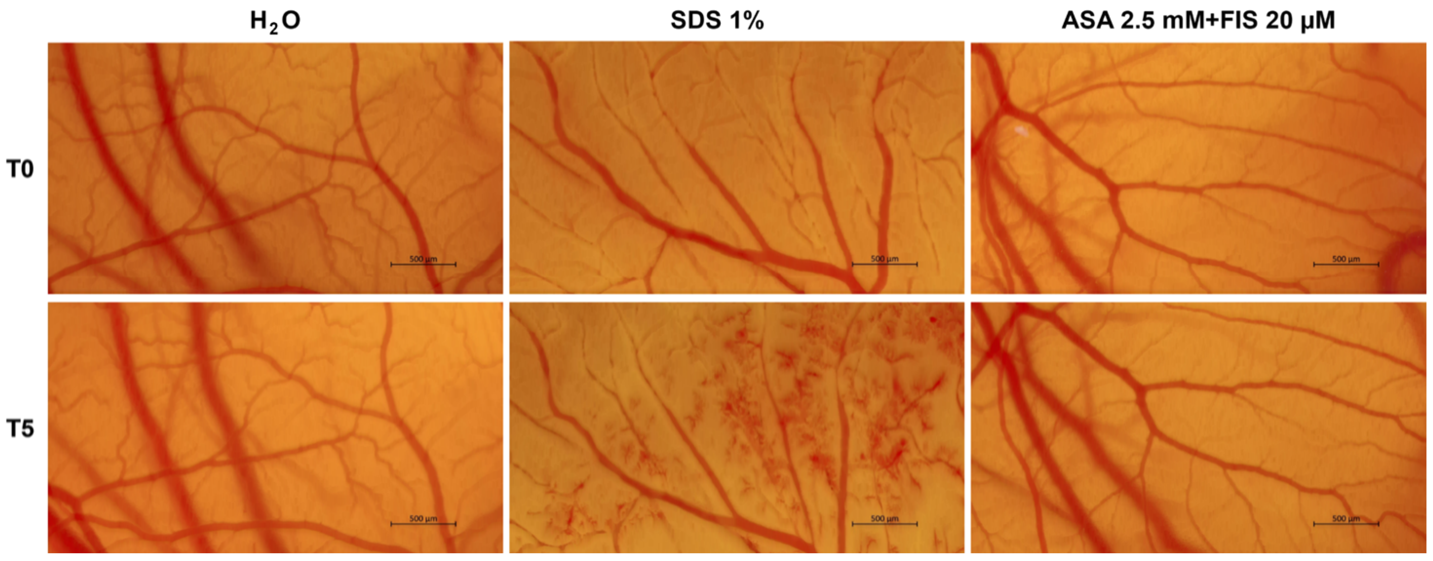 Medicina 60 01125 g009
