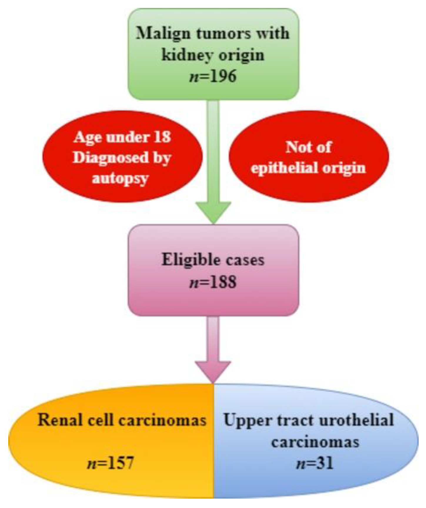 Medicina 60 01126 g001
