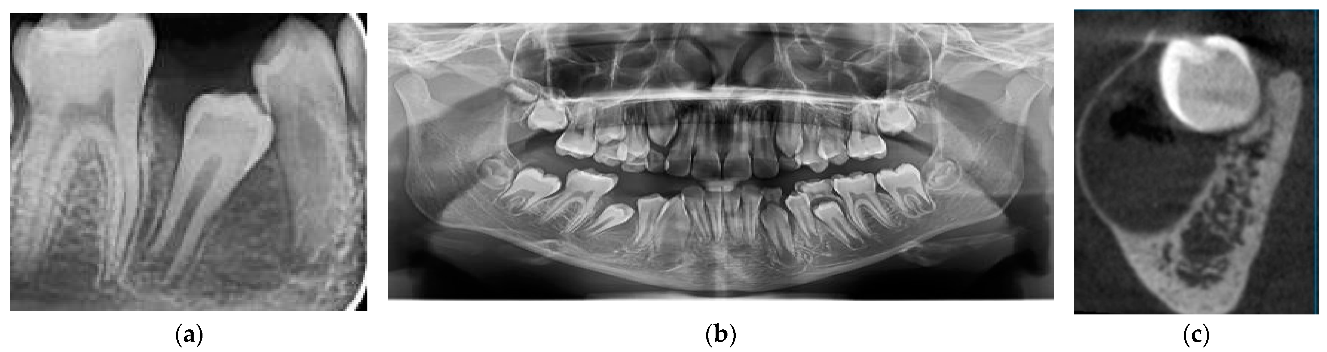 Medicina 60 01133 g003 Medicina 60 01133 g003