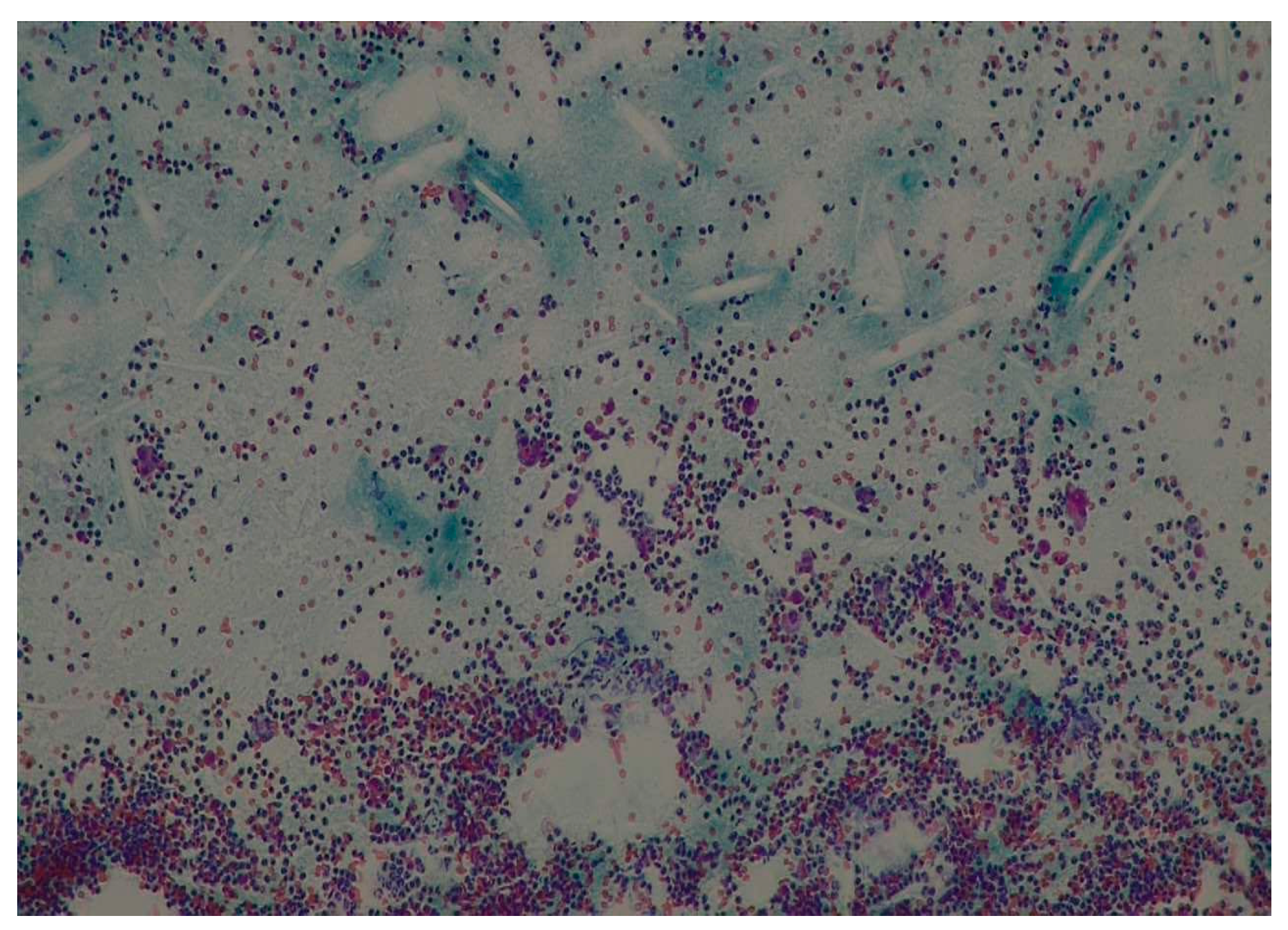 Medicina 60 01133 g010 Medicina 60 01133 g010