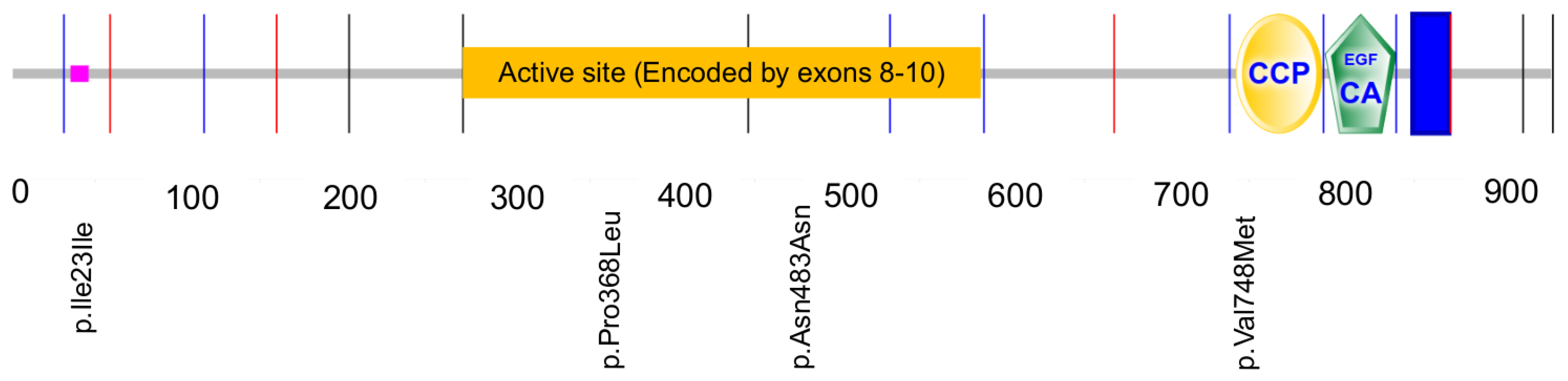 Medicina 60 01145 g001