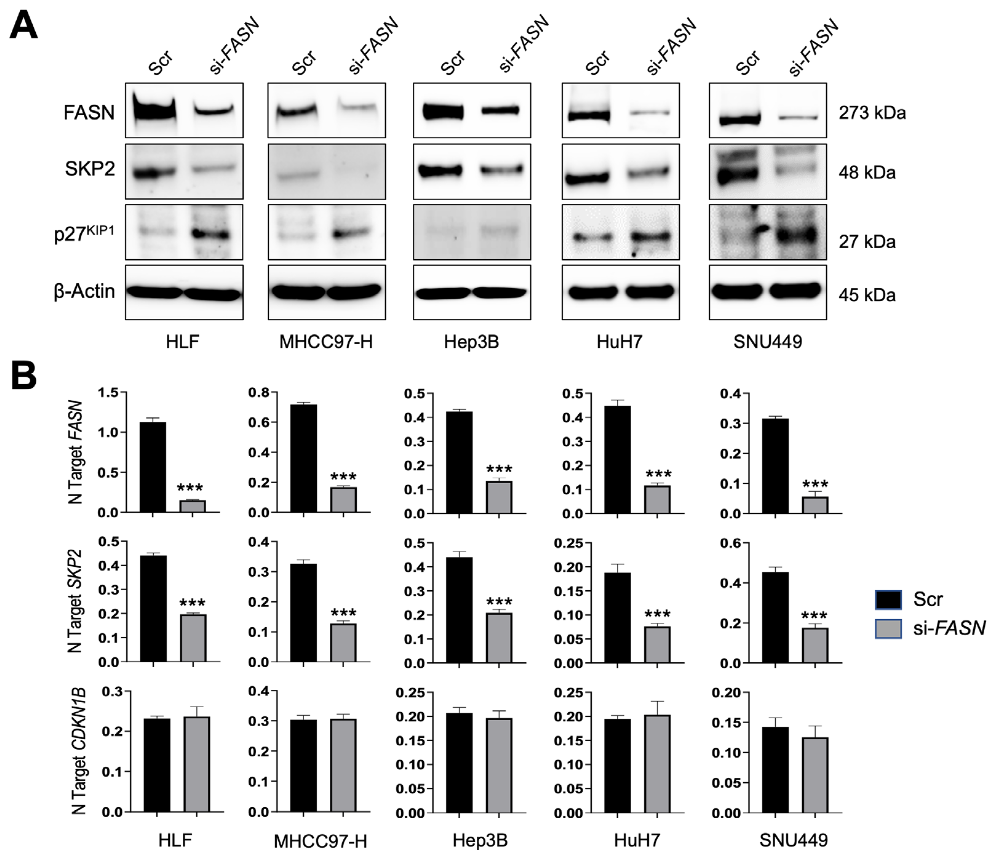 Medicina 60 01160 g001