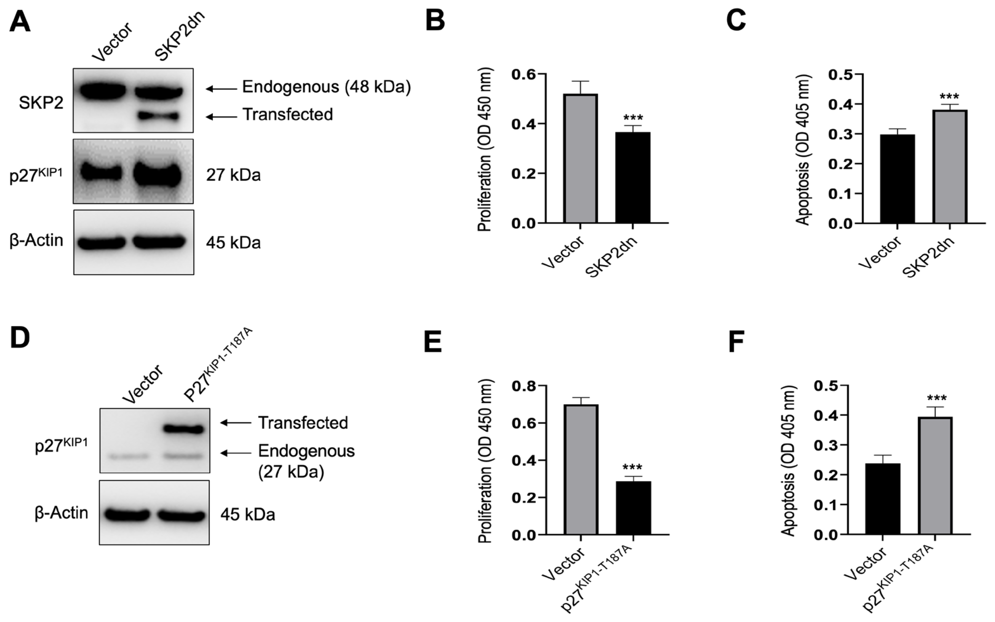 Medicina 60 01160 g009
