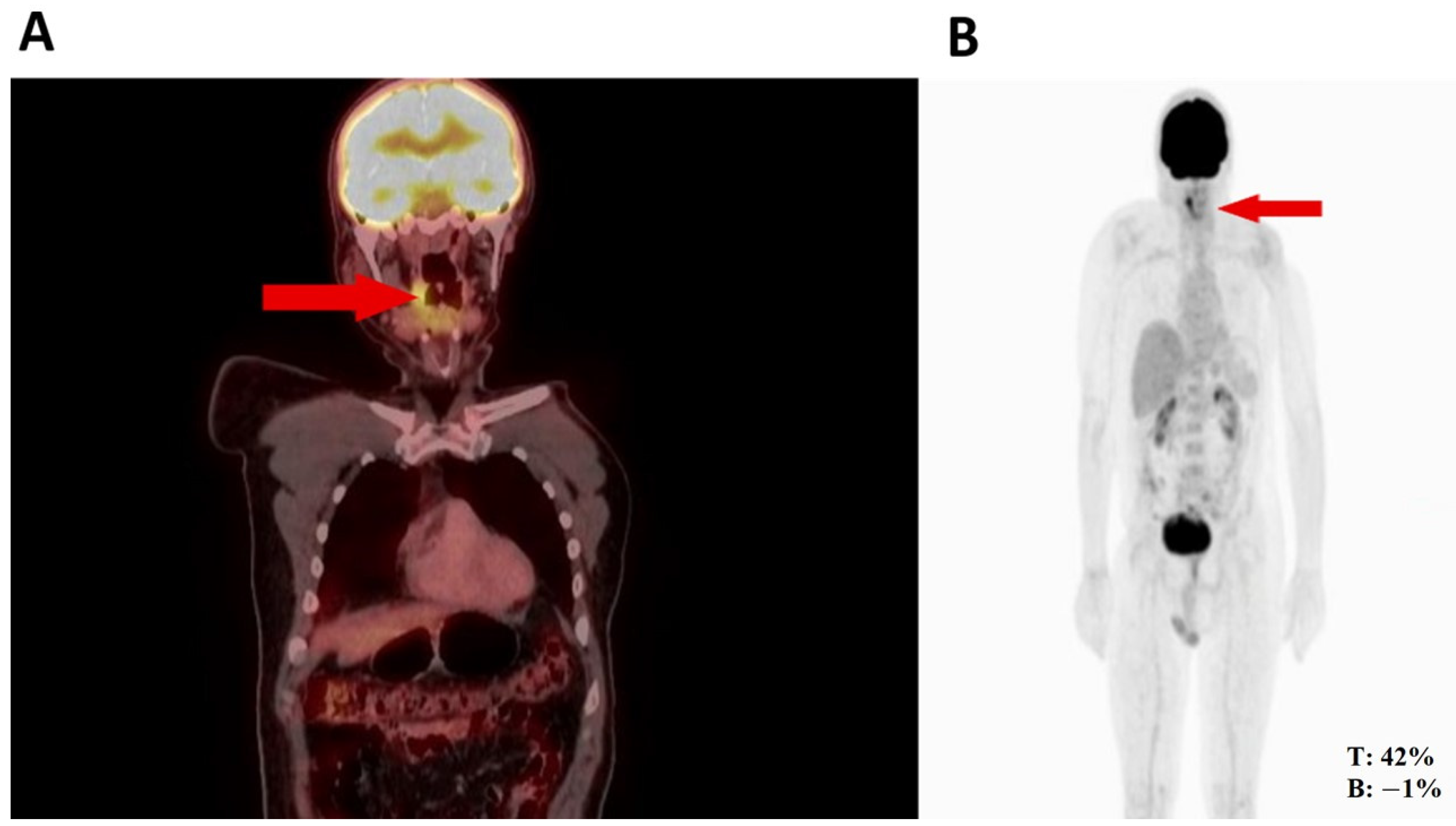 Medicina 60 01172 g001