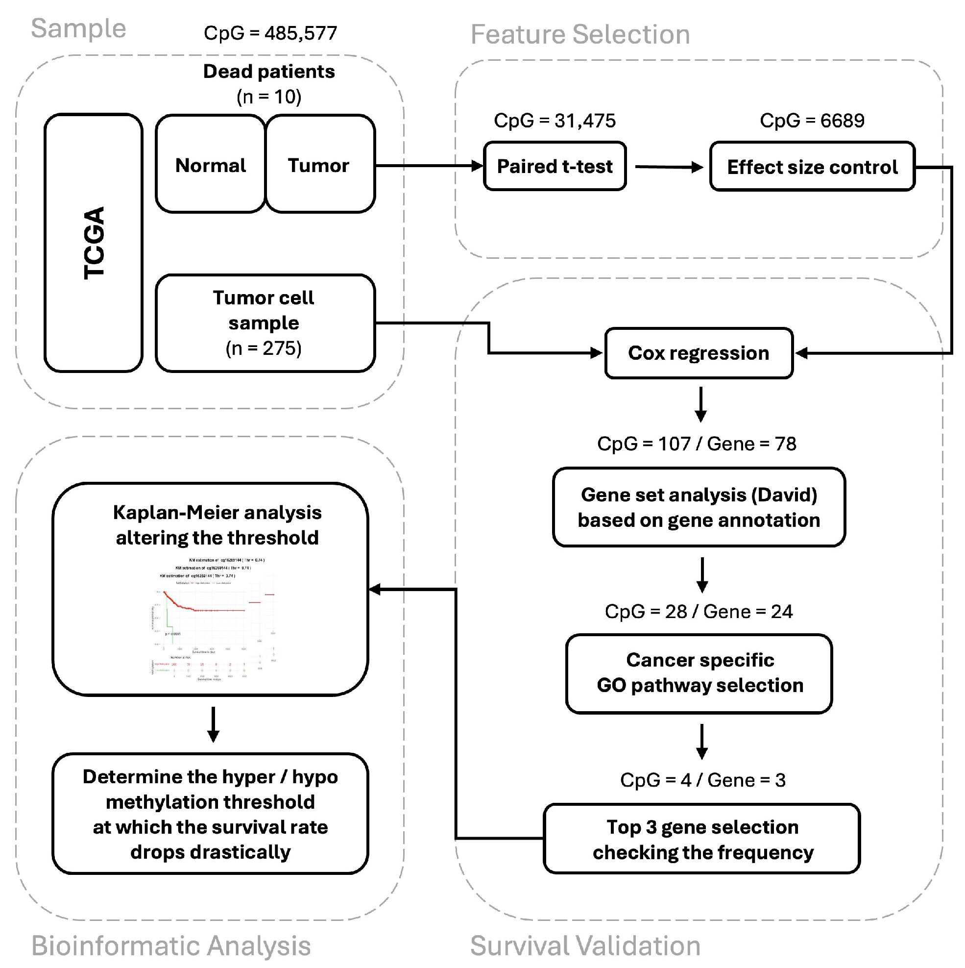 Medicina 60 01175 g001