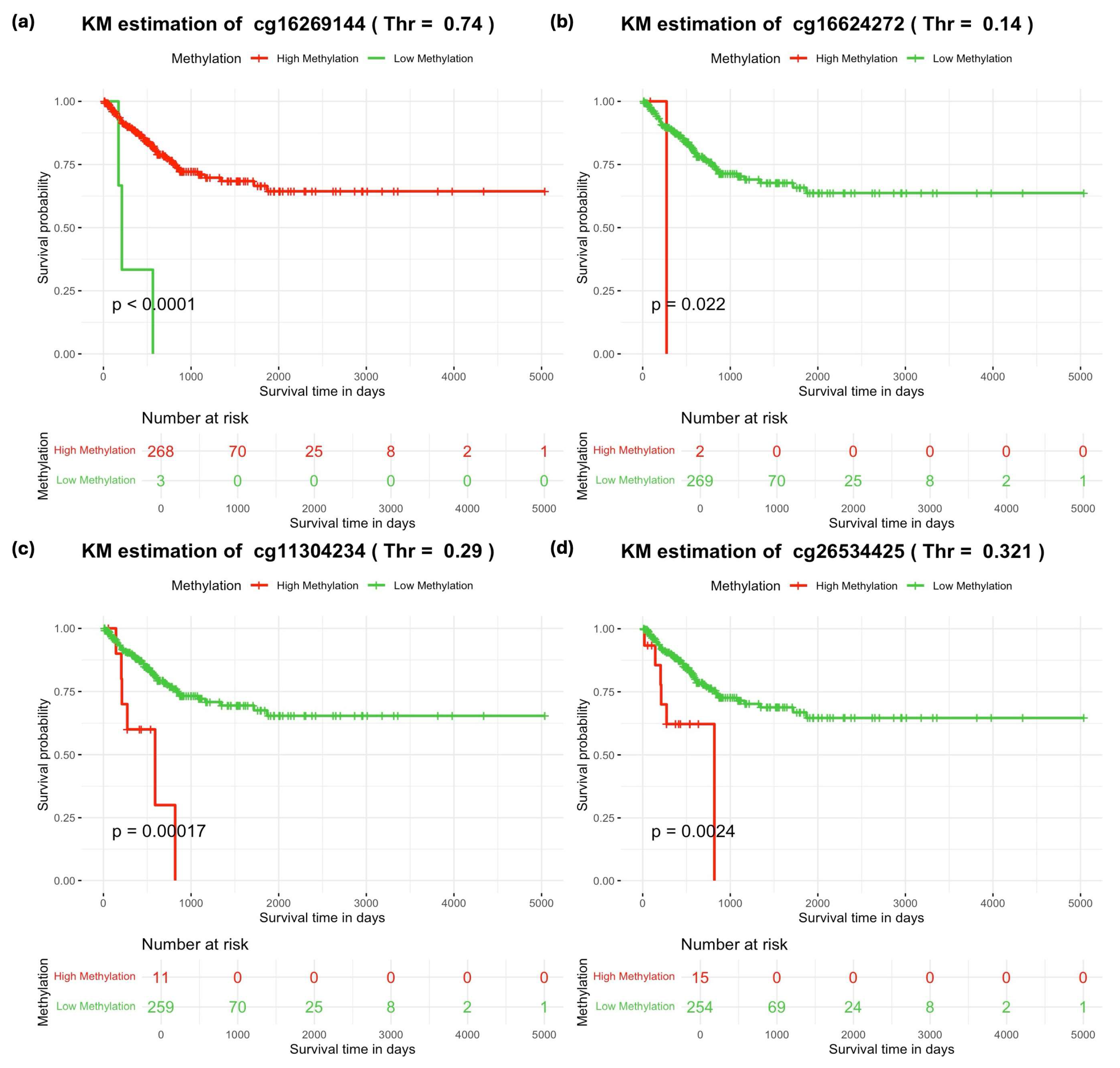 Medicina 60 01175 g003
