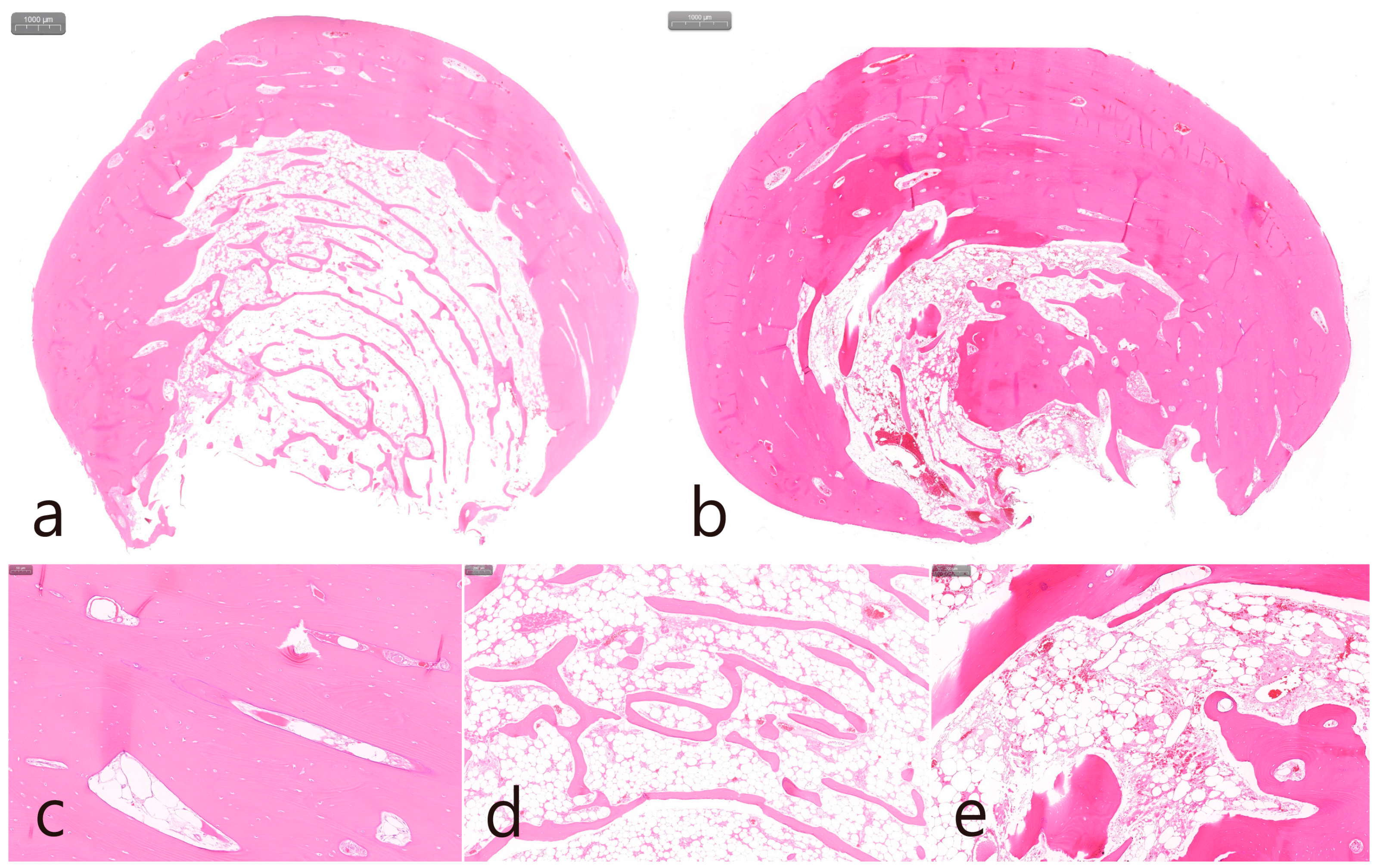 Medicina 60 01181 g004