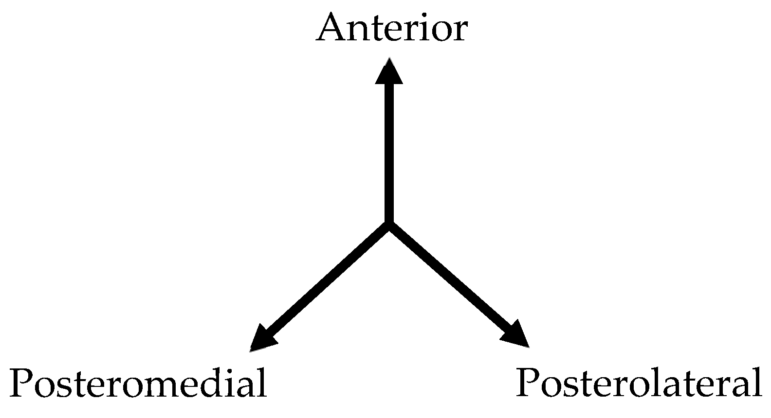 Medicina 60 01187 g002
