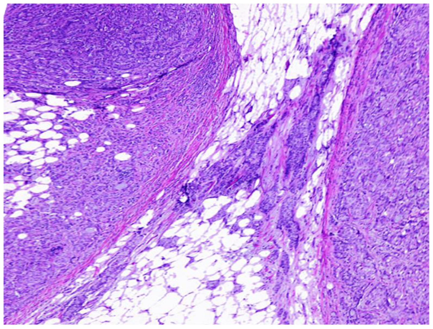 Medicina 60 01194 g001