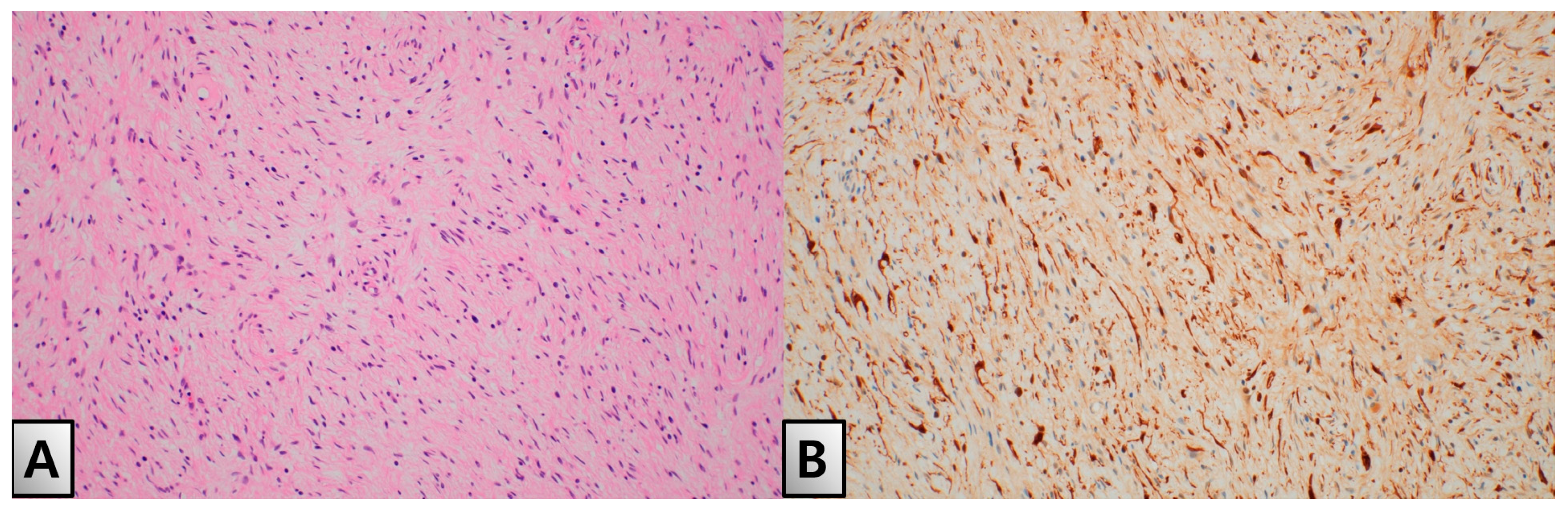 Medicina 60 01200 g003
