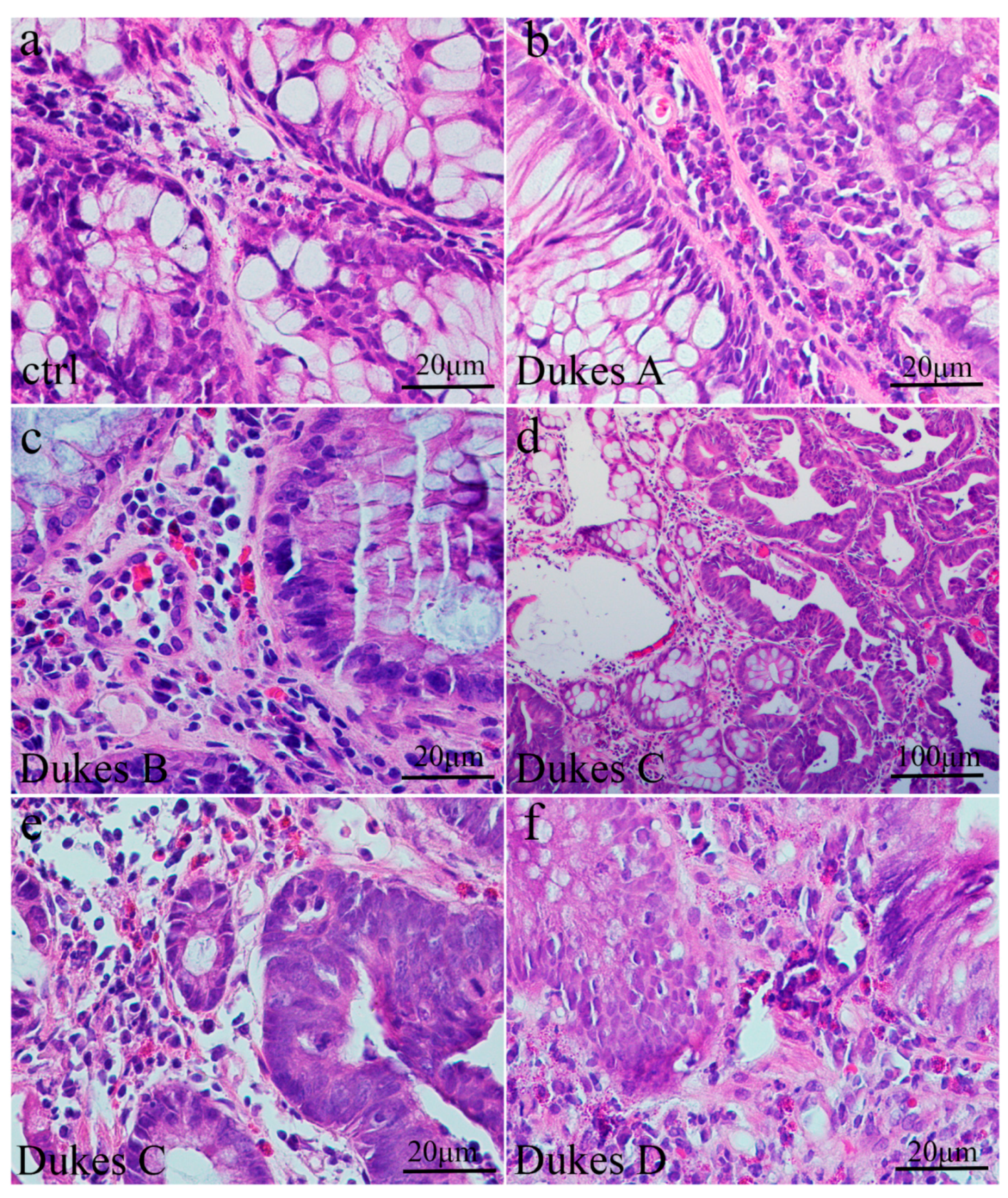 Medicina 60 01202 g001