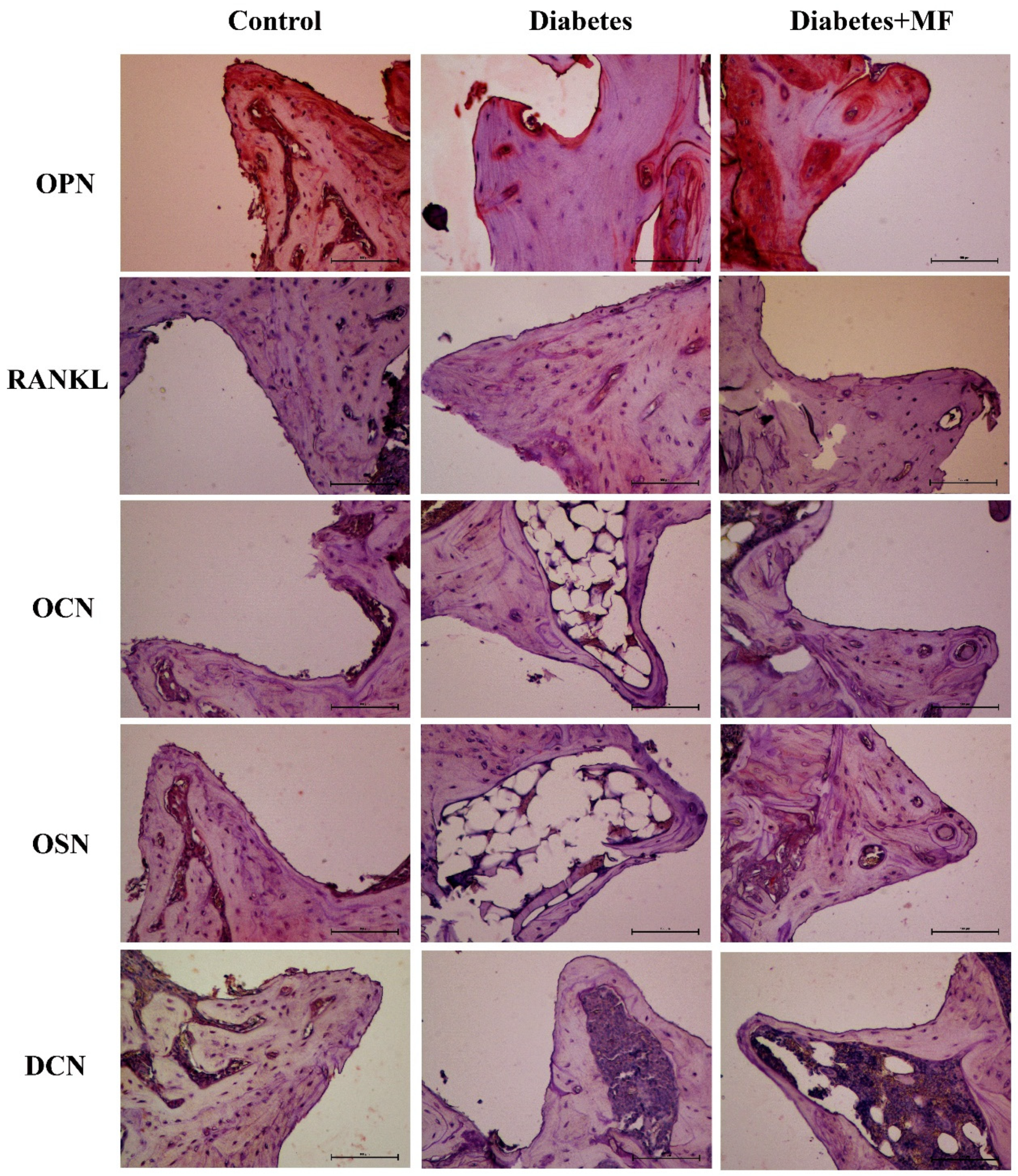 Medicina 60 01224 g006
