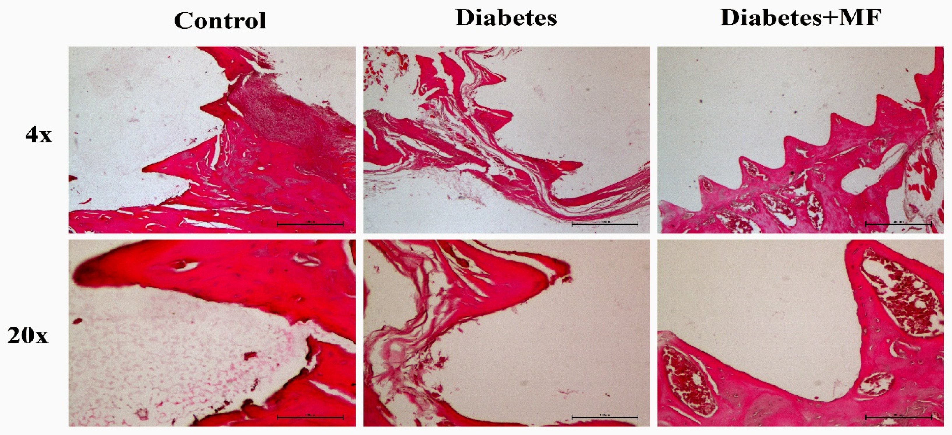 Medicina 60 01224 g008