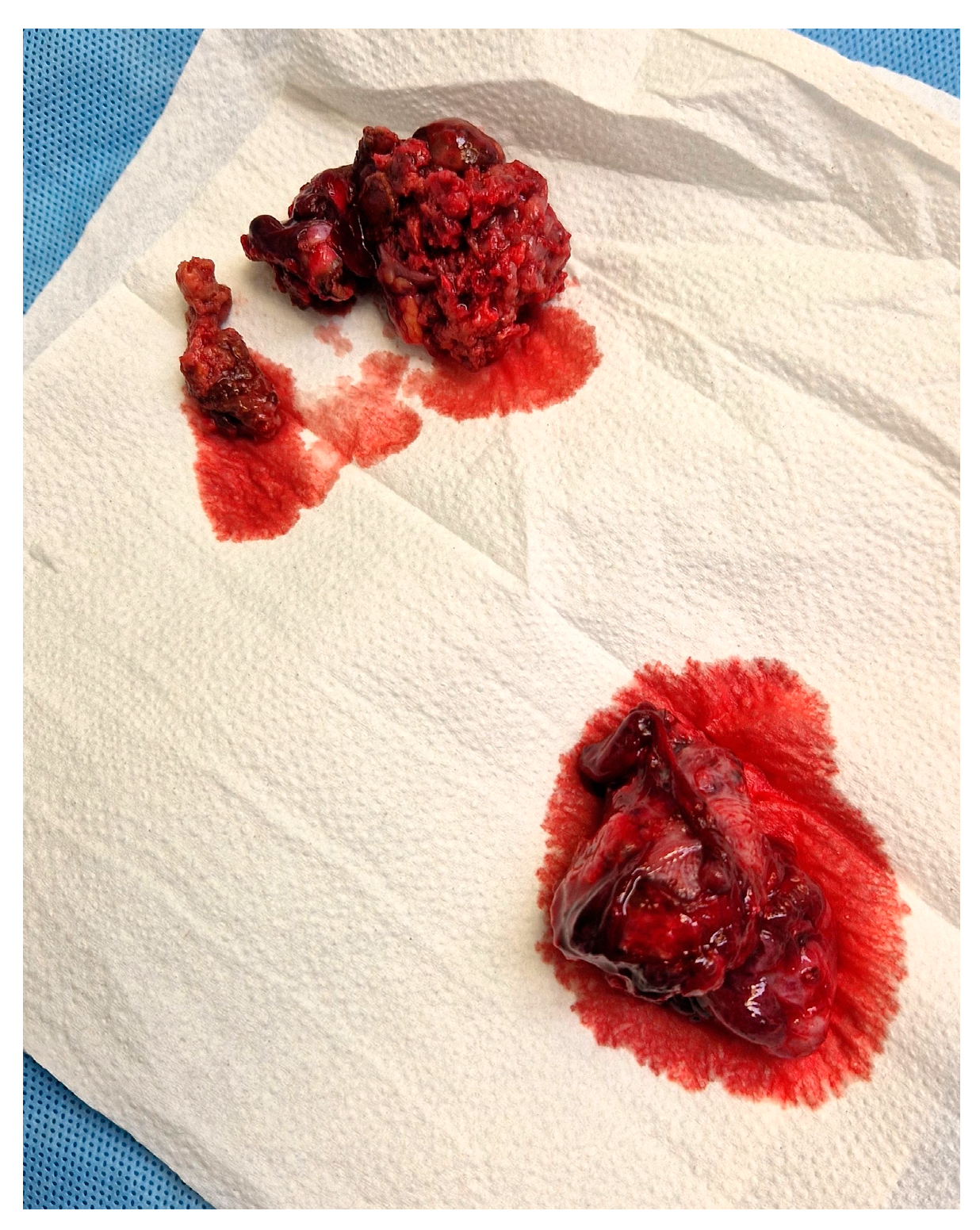 Medicina 60 01226 g001