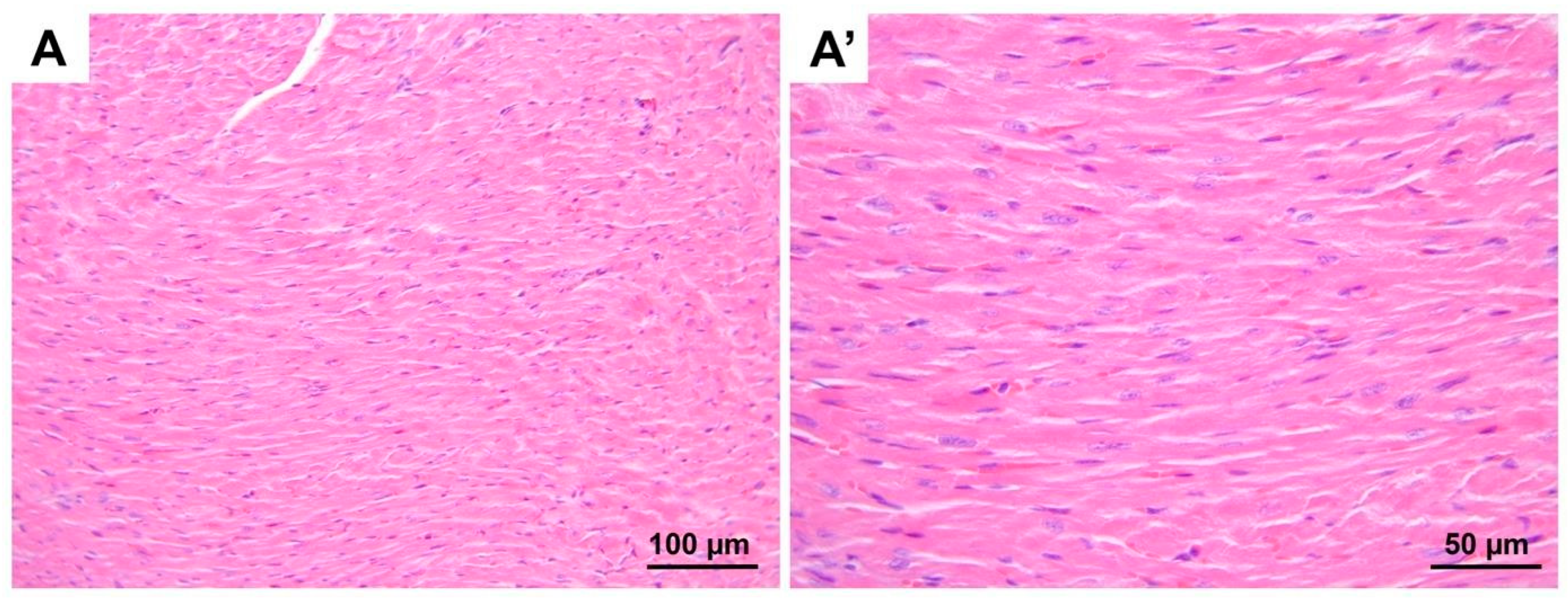Medicina 60 01232 g001