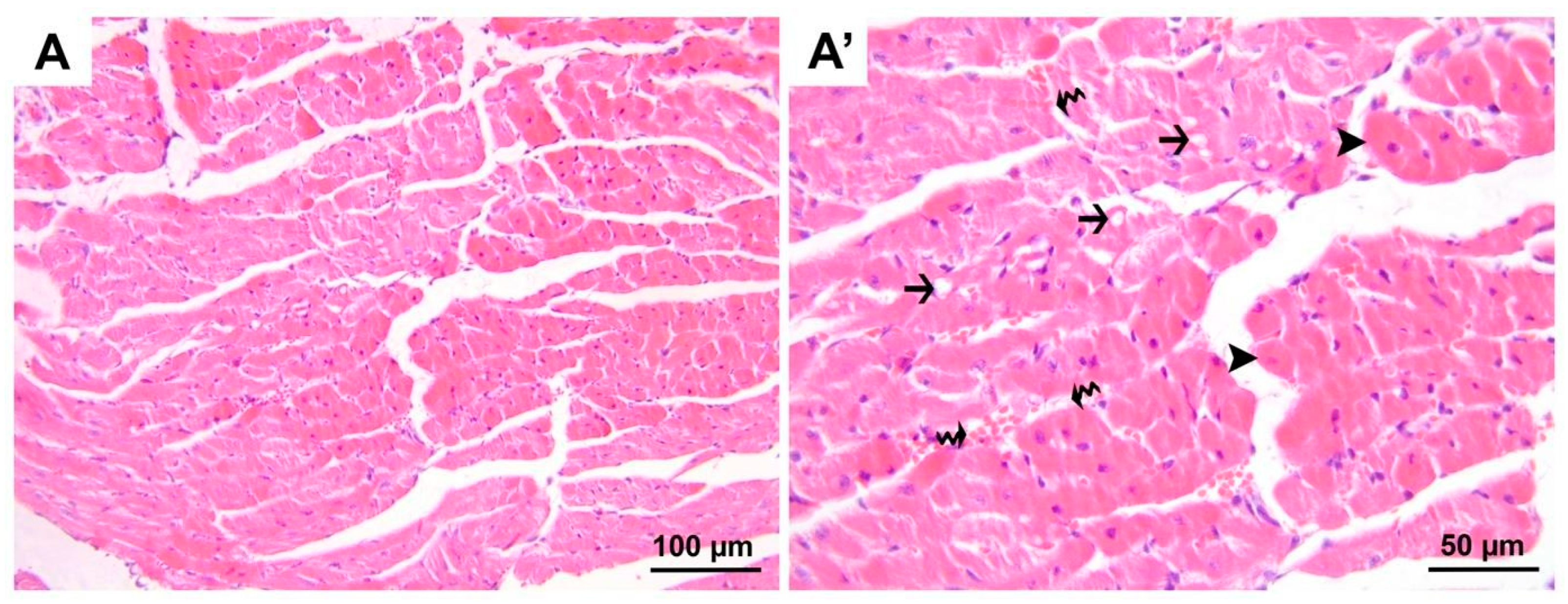 Medicina 60 01232 g002