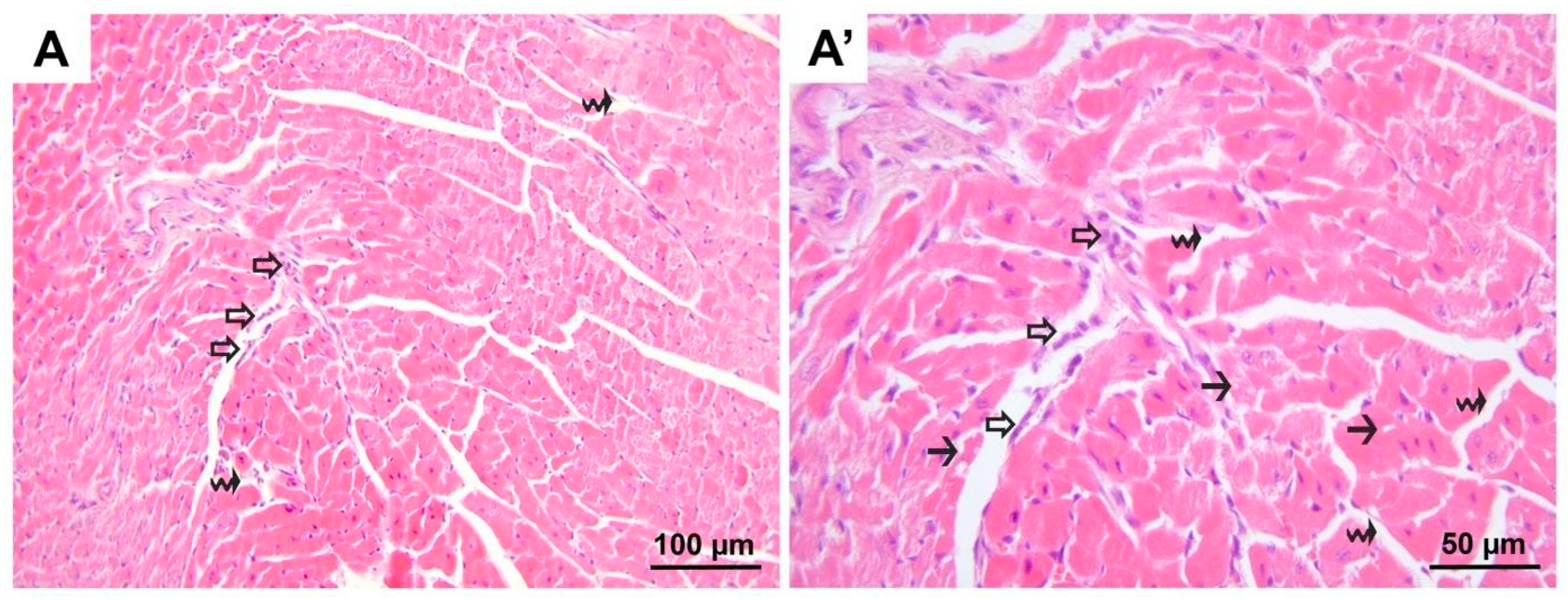 Medicina 60 01232 g006