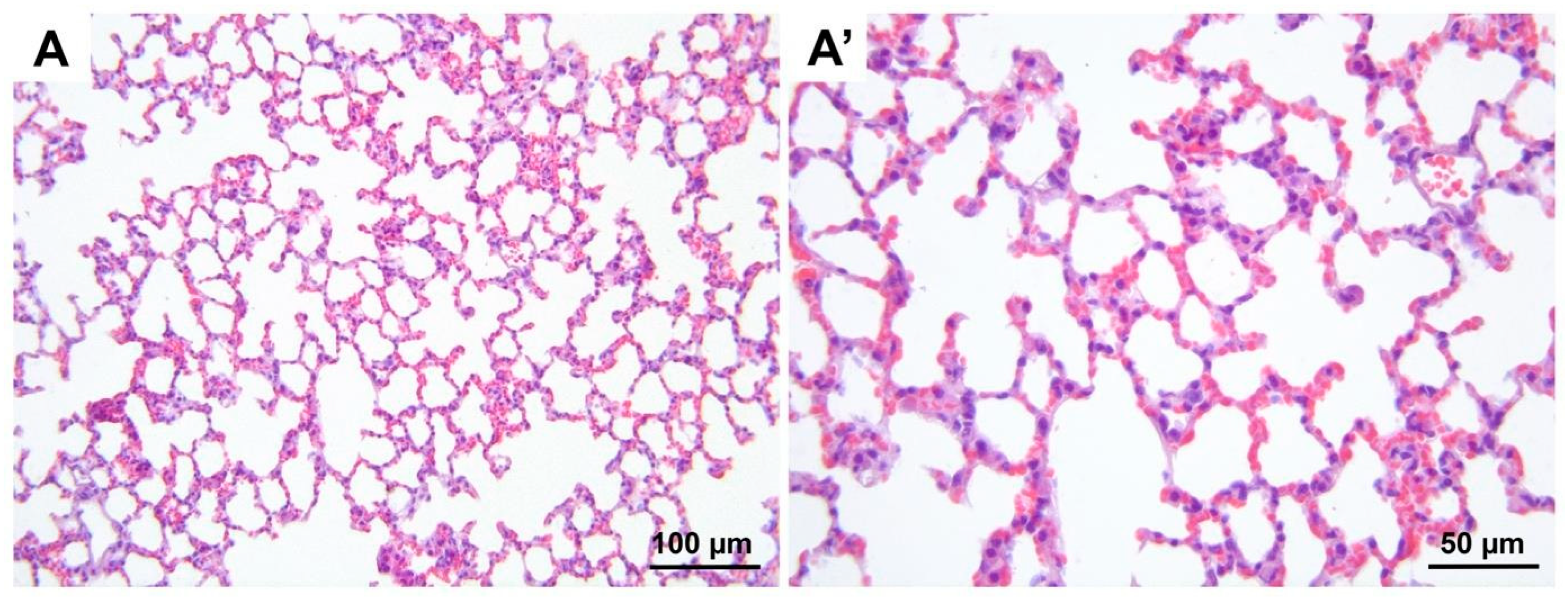 Medicina 60 01232 g007