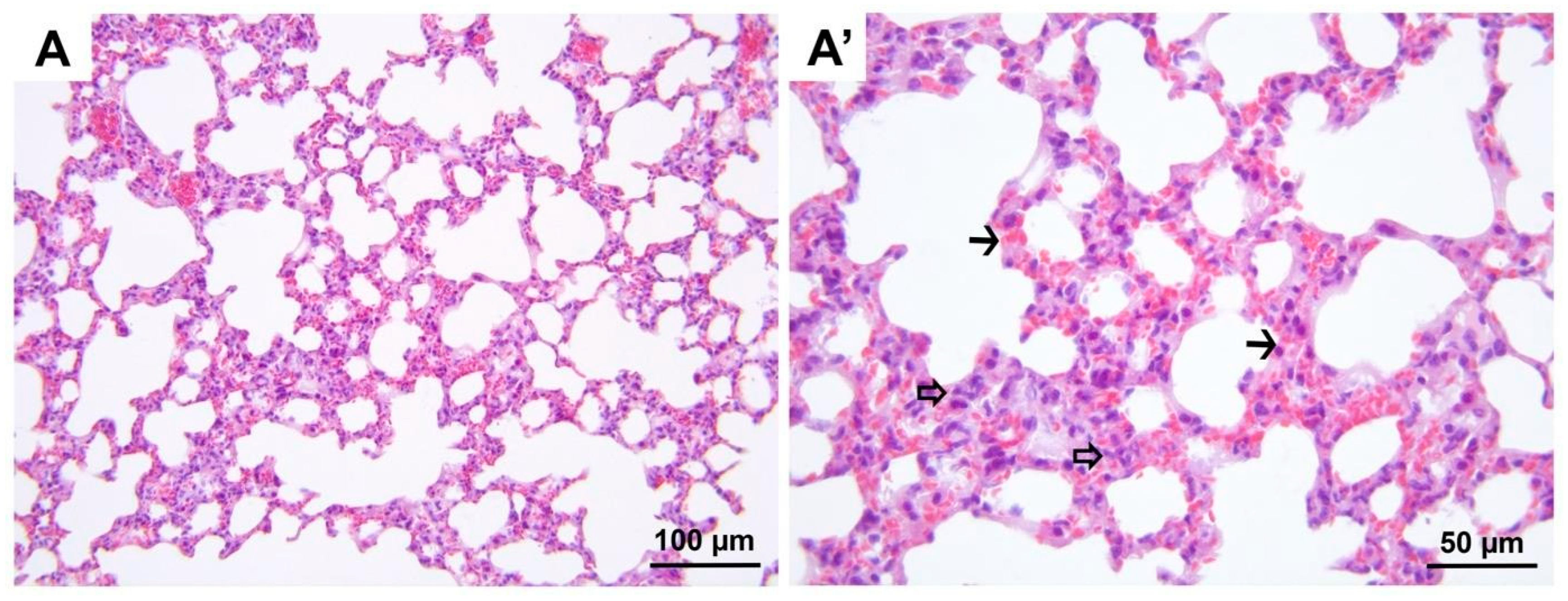Medicina 60 01232 g010