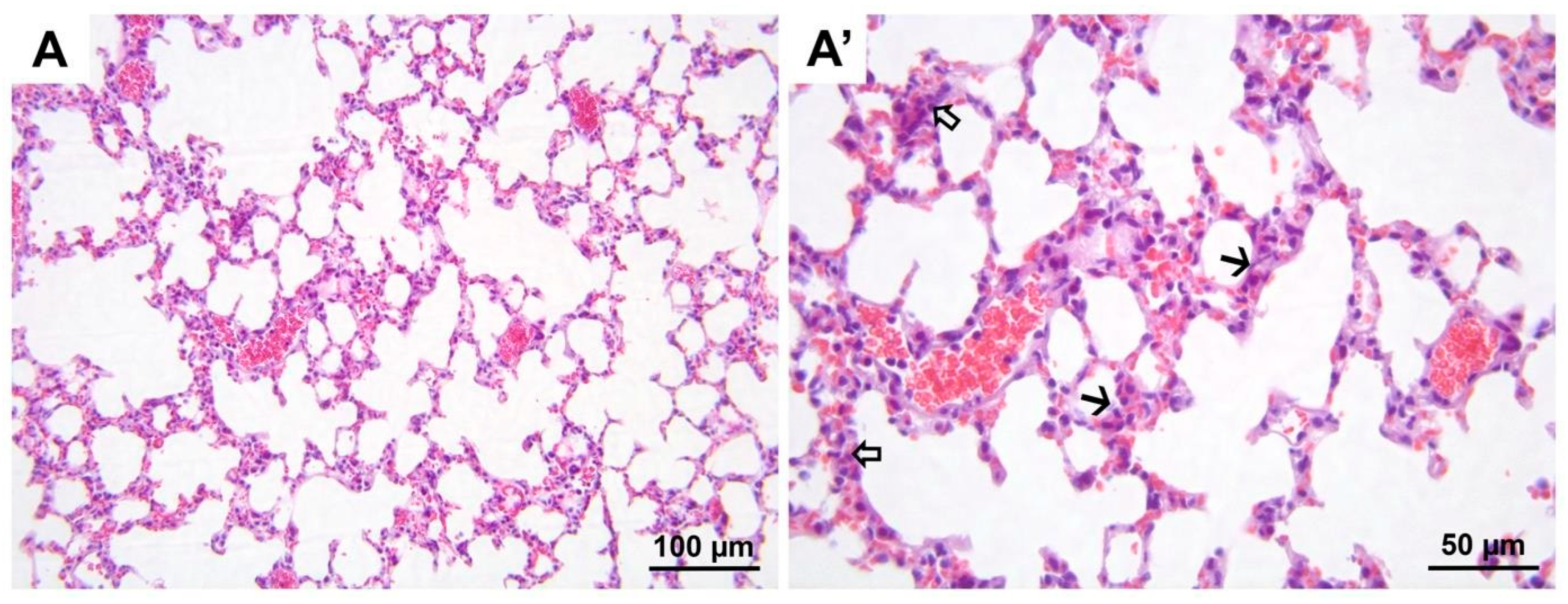 Medicina 60 01232 g011