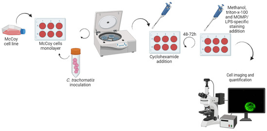 Addressing Challenges in Chlamydia trachomatis Detection: A Comparative ...