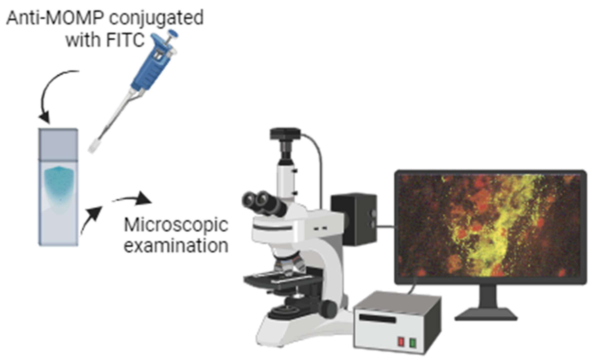 Medicina 60 01236 g003