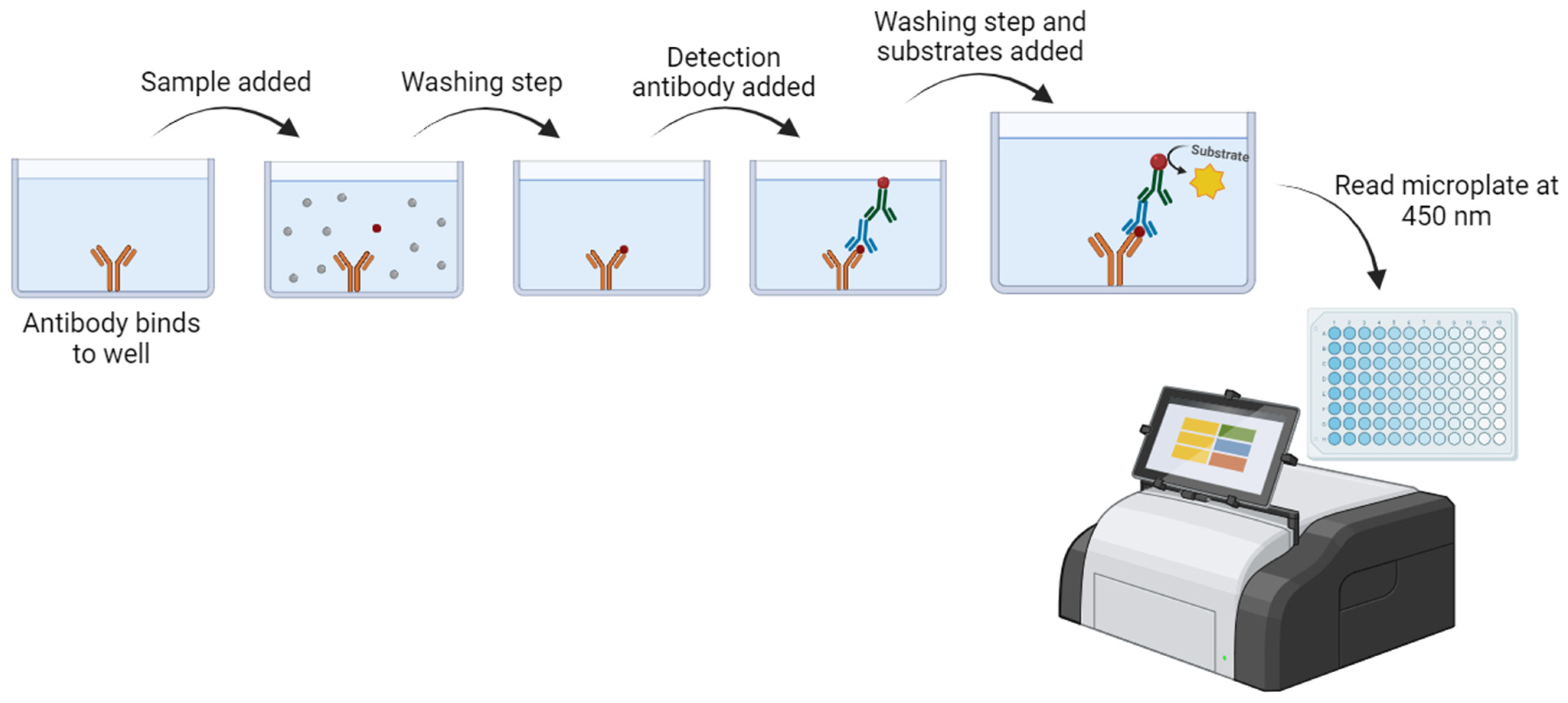 Medicina 60 01236 g004