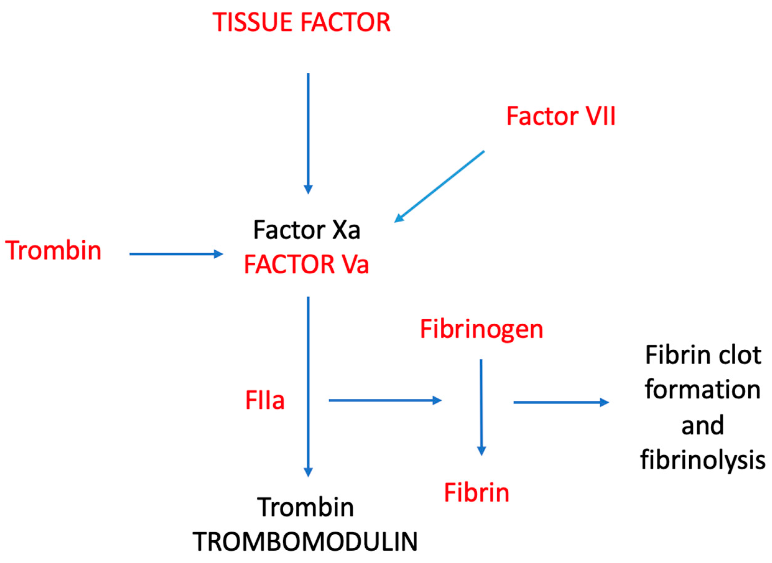 Medicina 60 01240 g001
