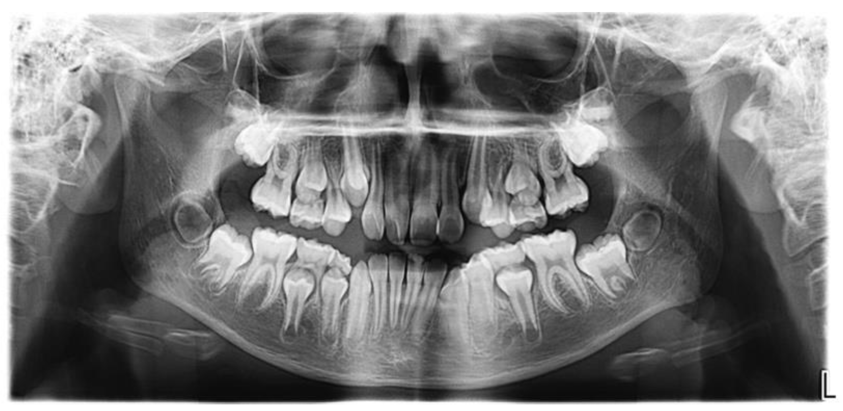 Medicina 60 01248 g002