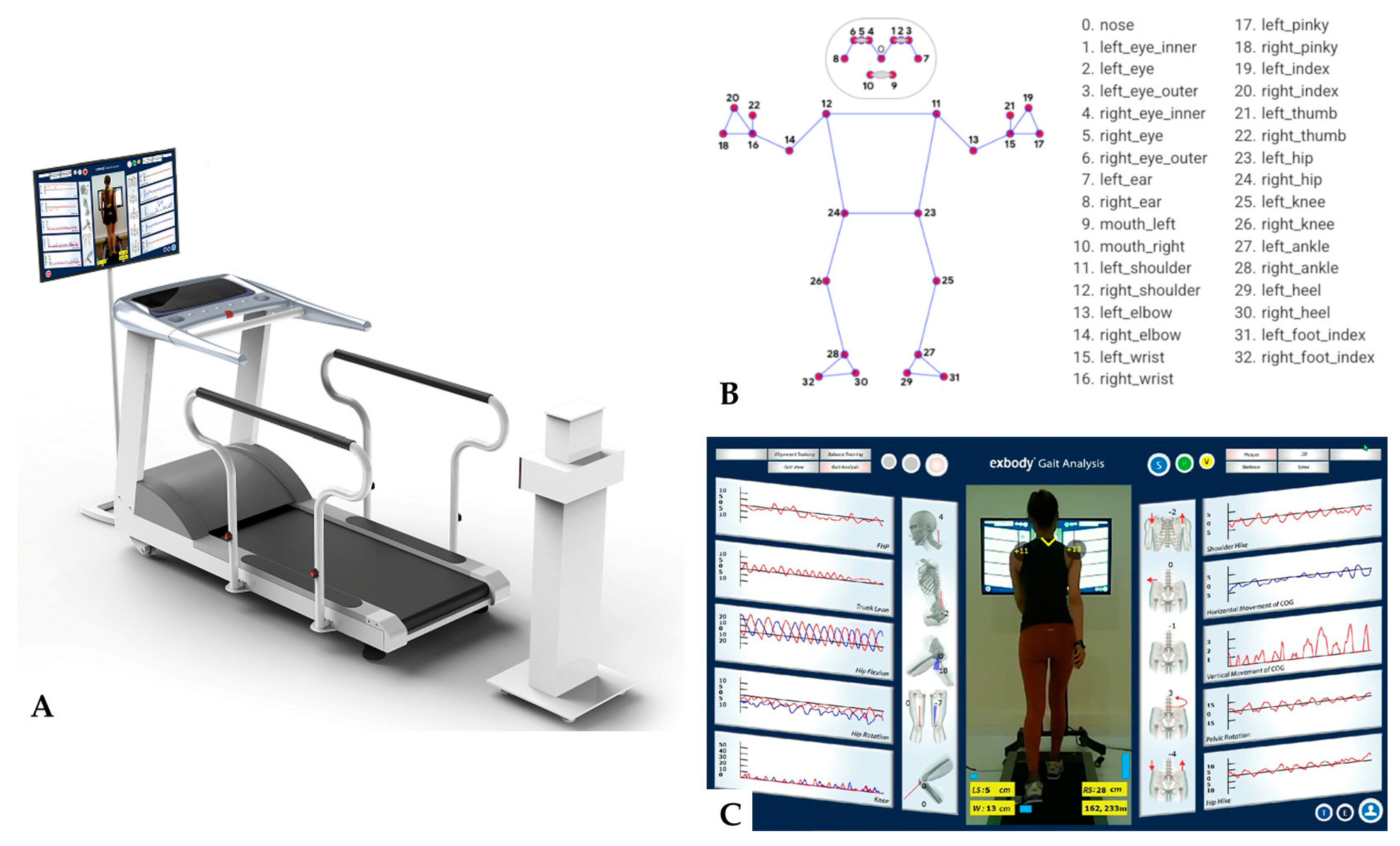 Medicina 60 01249 g002