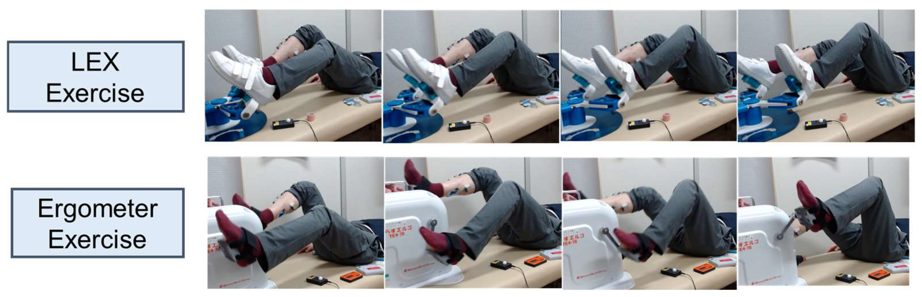 Medicina 60 01260 g002